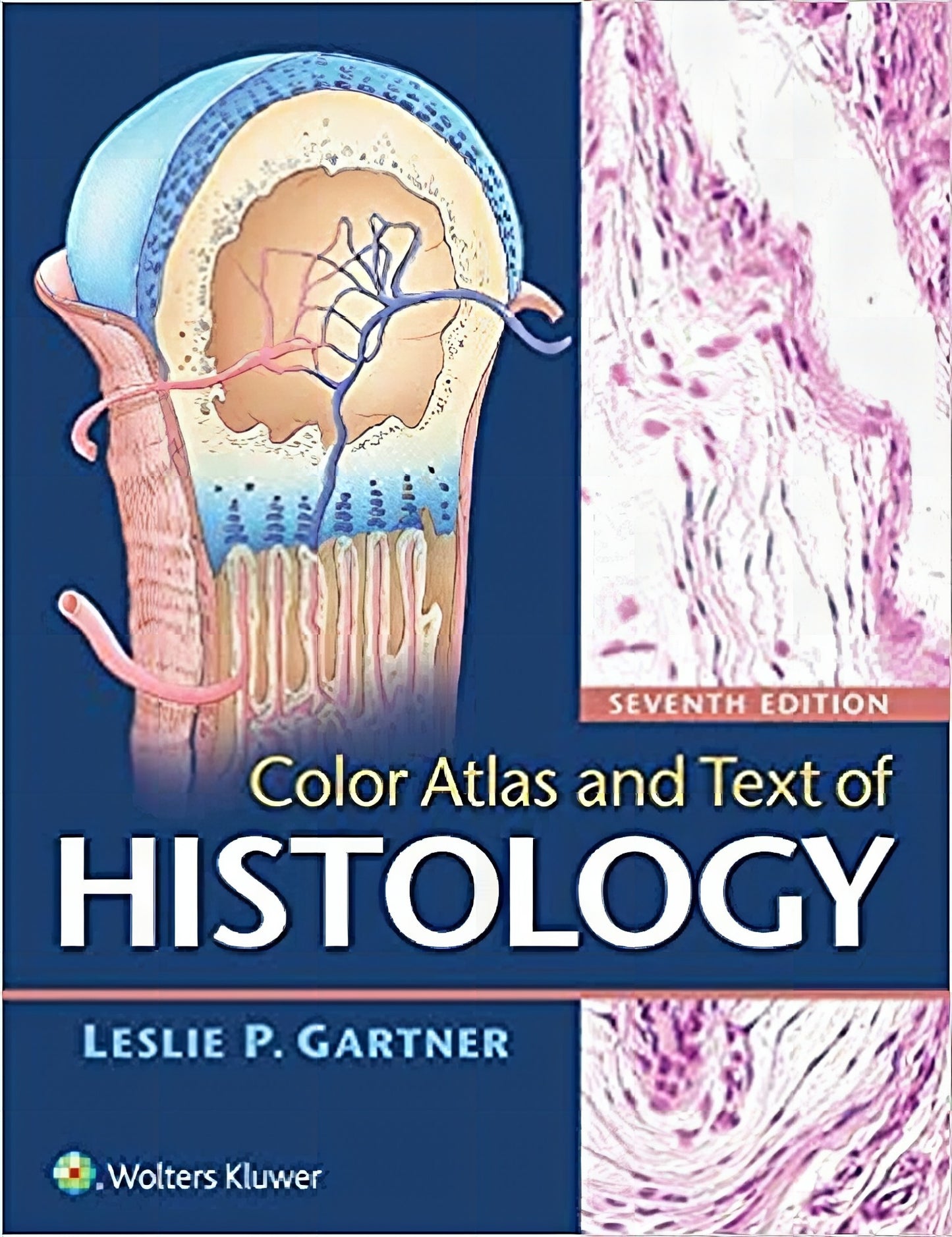 Color Atlas And Text Of Histology 7Th Edition