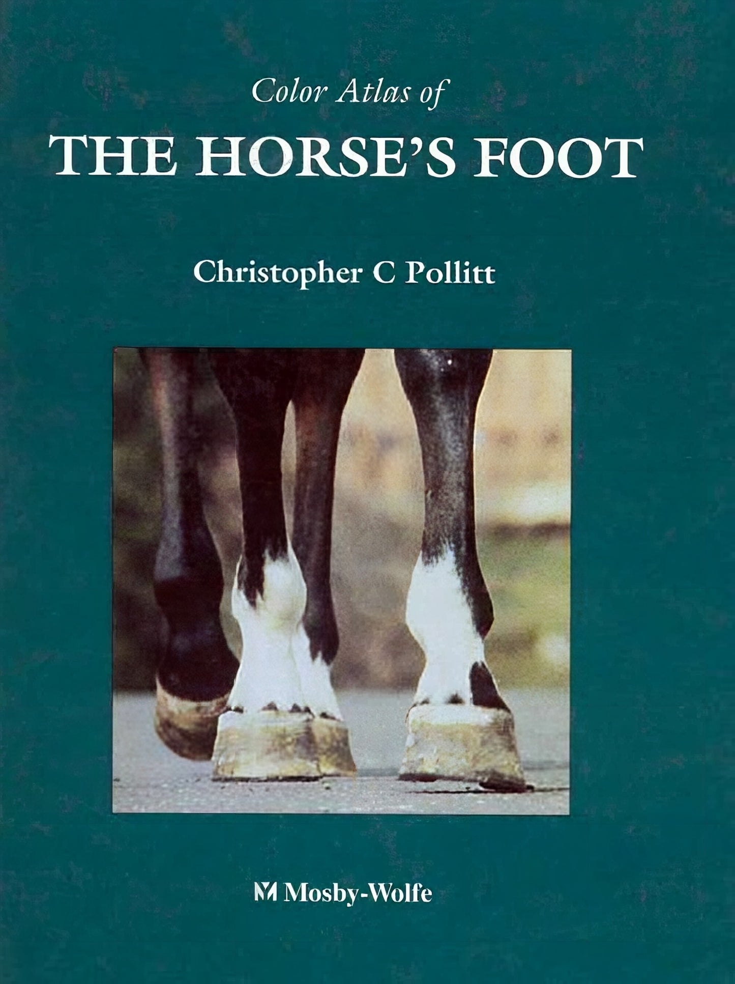 Color Atlas Of The Horses Foot