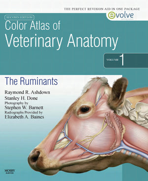 Color Atlas Of Veterinary Anatomy The Ruminants 2nd Edition