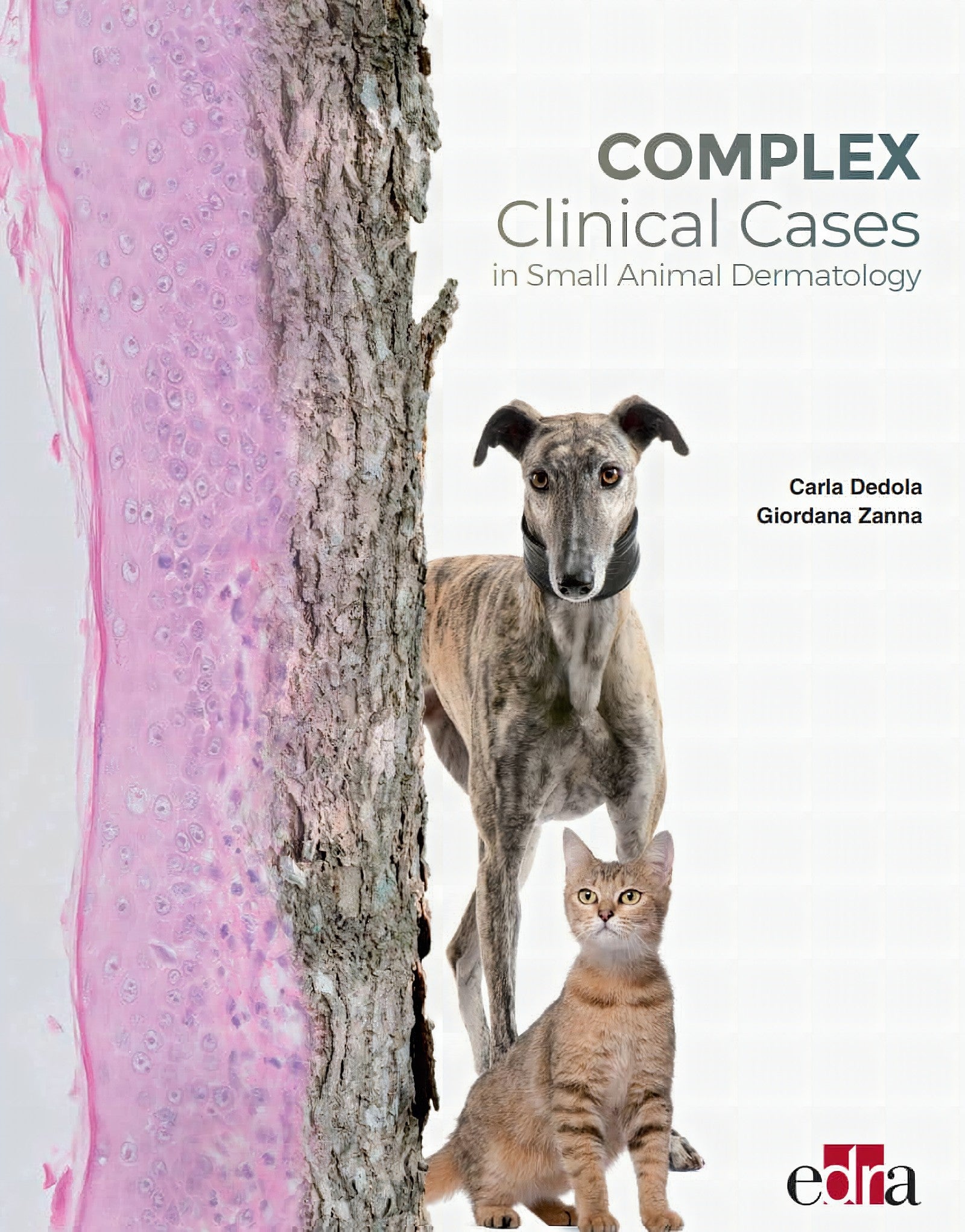 Complex Clinical Case In Small Animals Dermatology