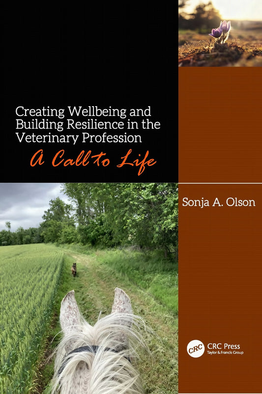 Creating Wellbeing And Buildings Resilience In The Veterinary Profession A Call To Life