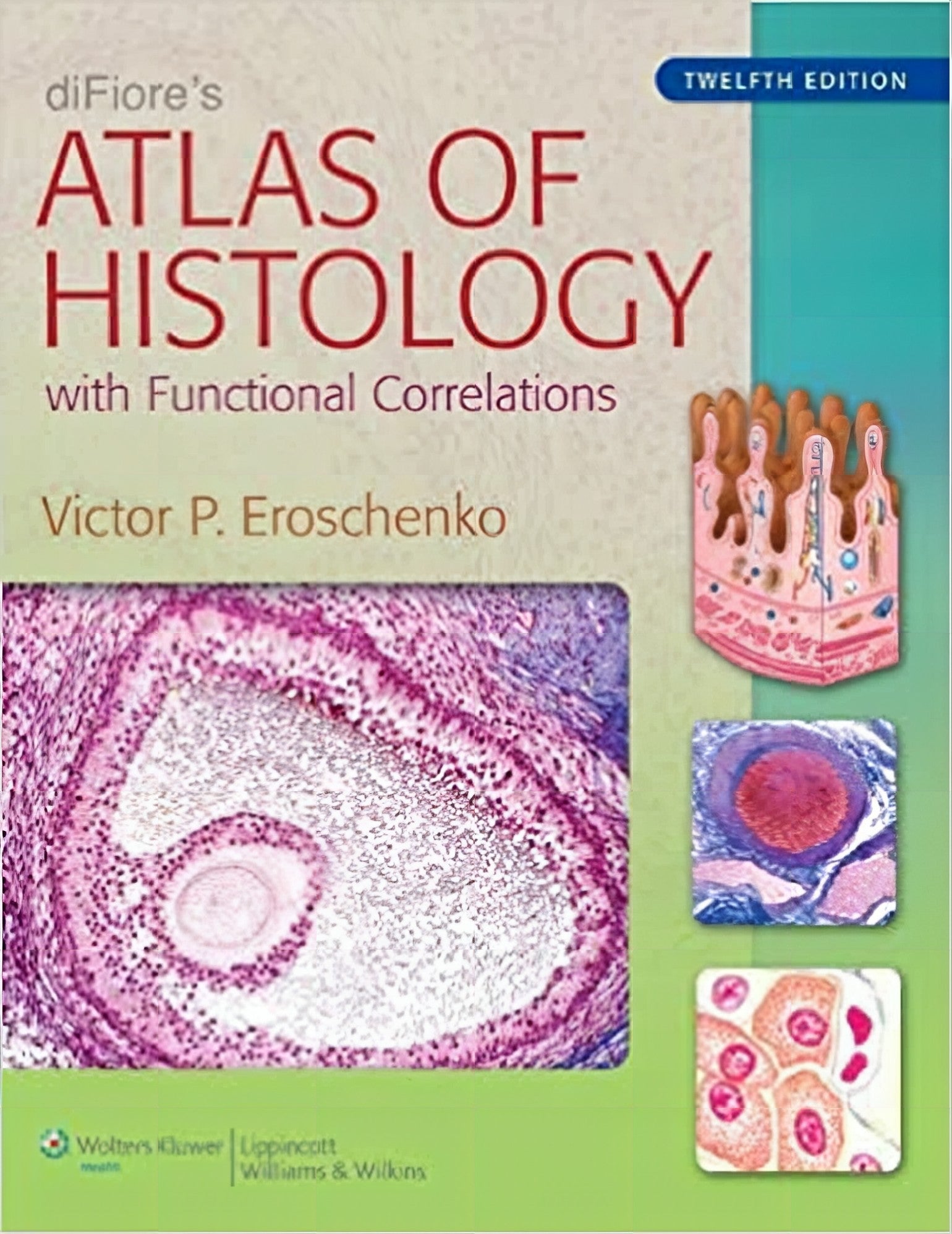Difiores Atlas Of Histology With Functional Correlations 12Th Edition Download