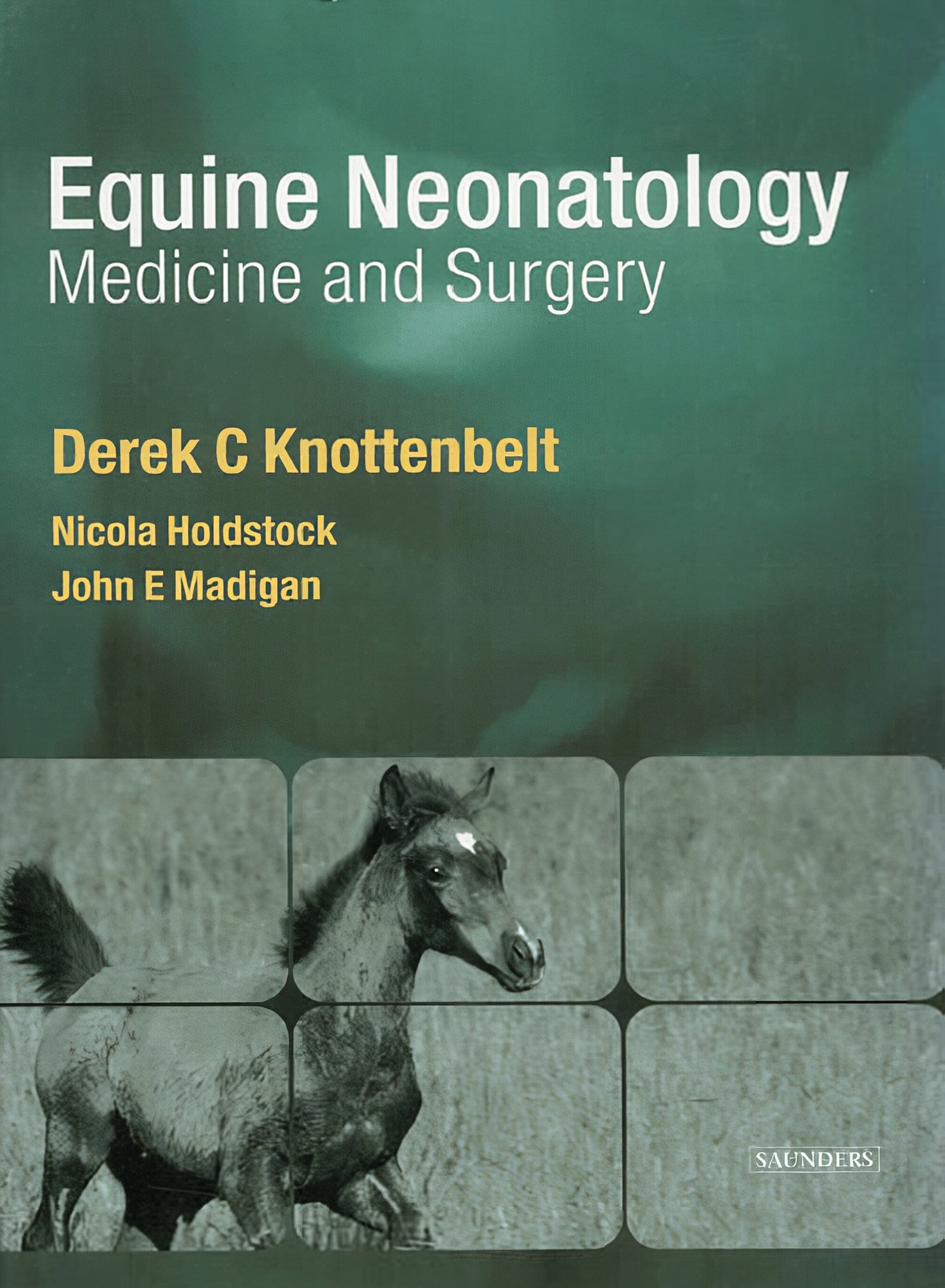 Equine Neonatal Medicine And Surgery