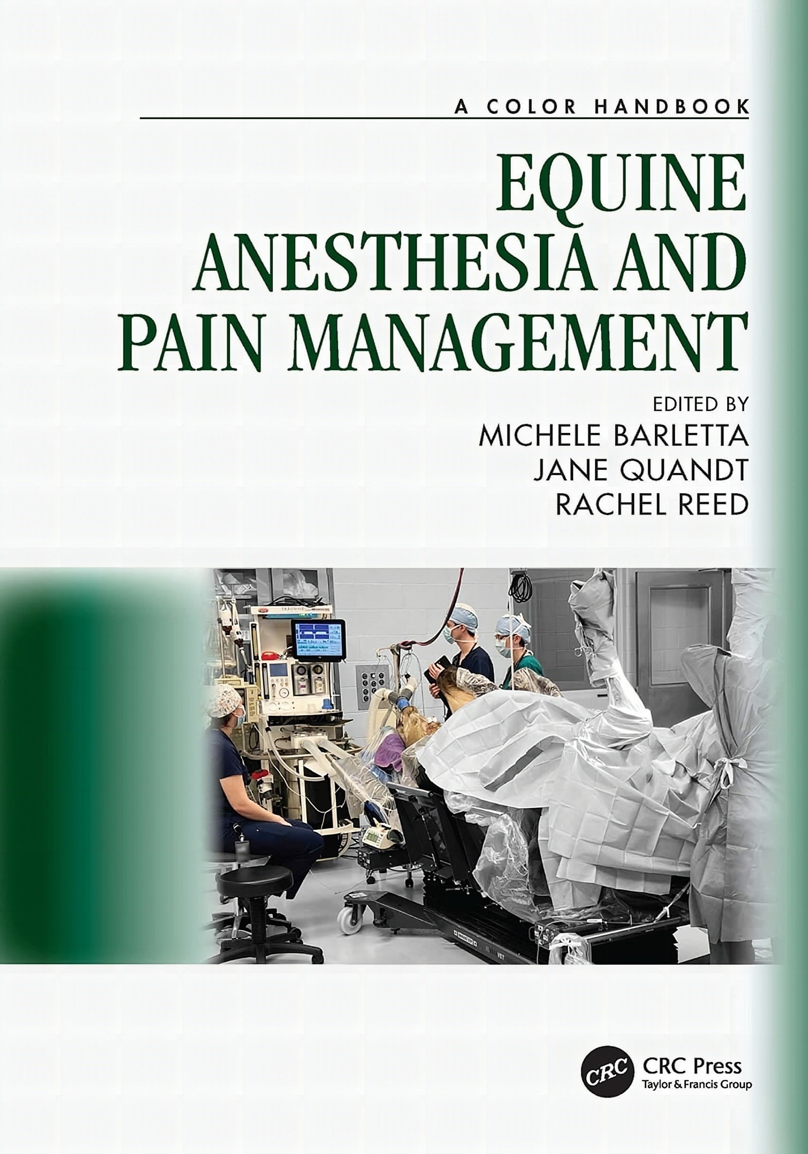 Equines Anesthesia And Pain Management Color Handbooks