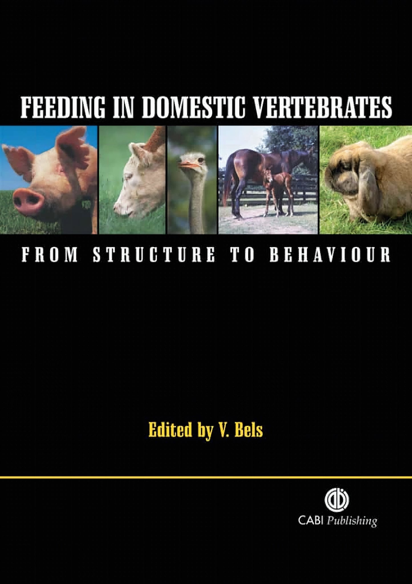 Feeding In Domestic Vertebrates From Structure To Behaviour
