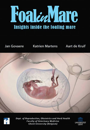 Foalinmare Dvd Insights Inside The Foaling Mare