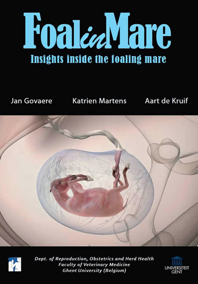 Foalinmare Dvd Insights Inside The Foaling Mare