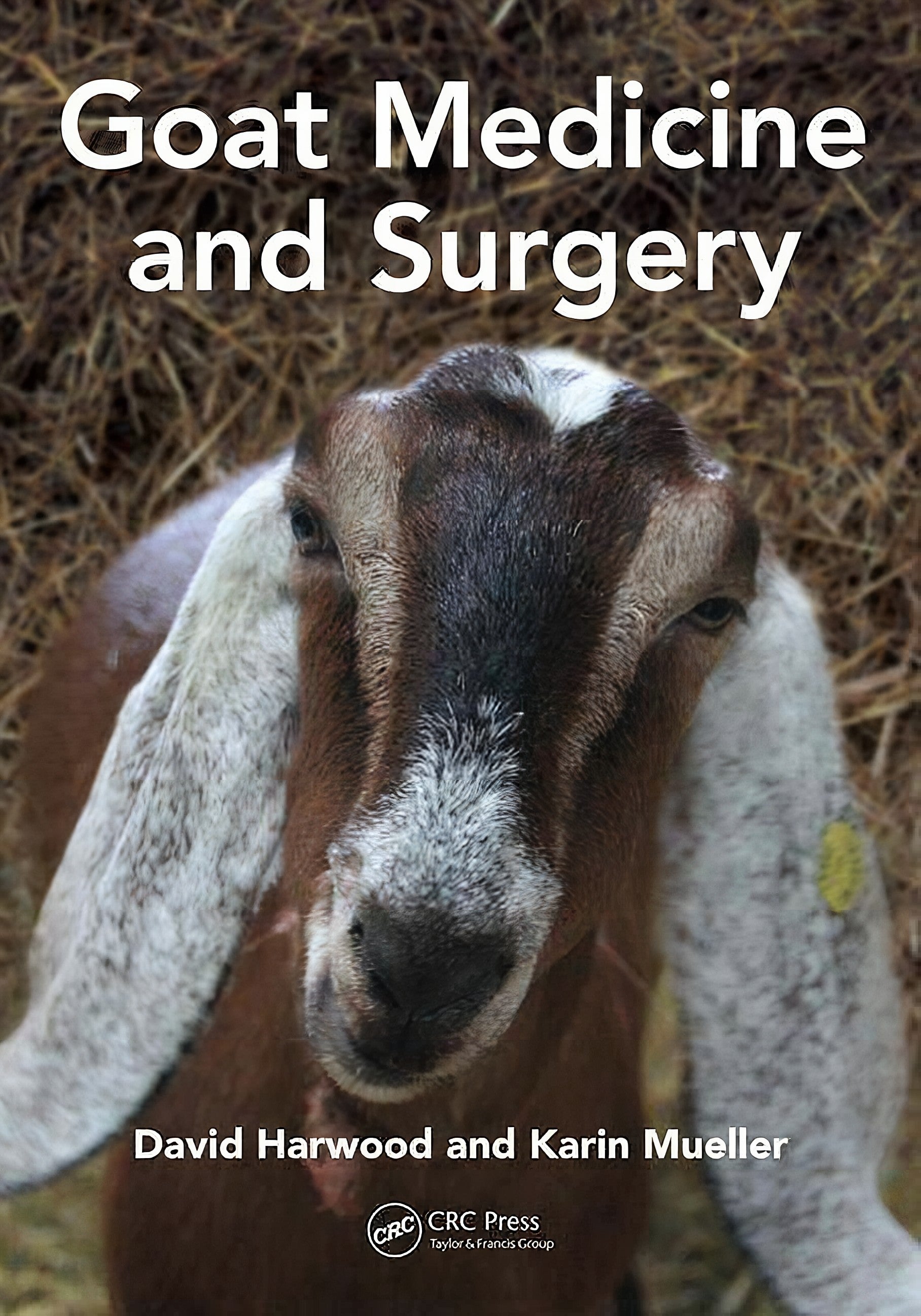 Goat Medicine And Surgery