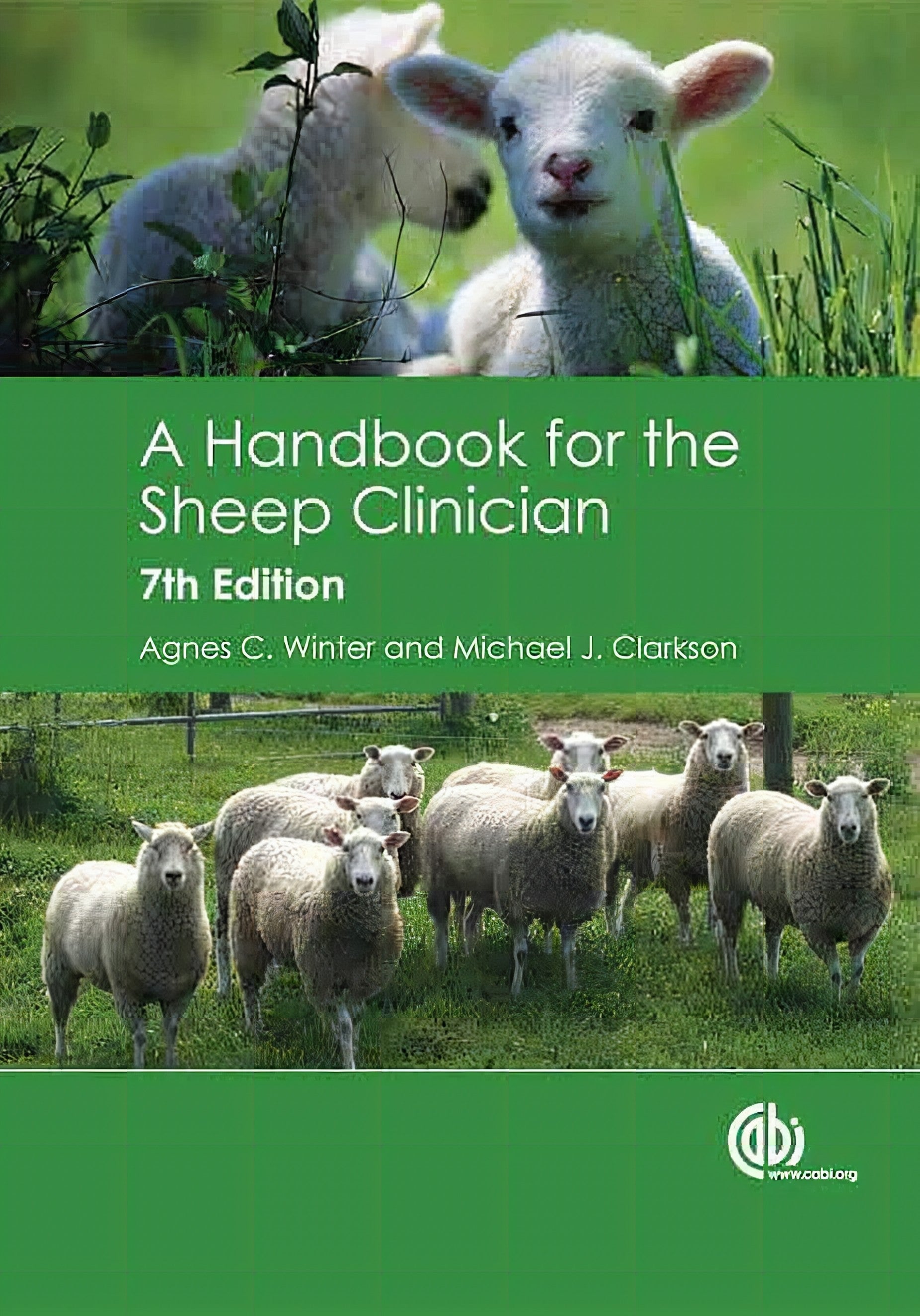 Handbook For The Sheep Clinician 7Th Edition