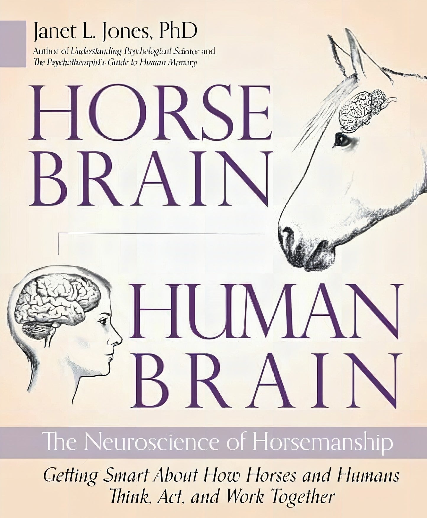Horses Brain Human Brain
