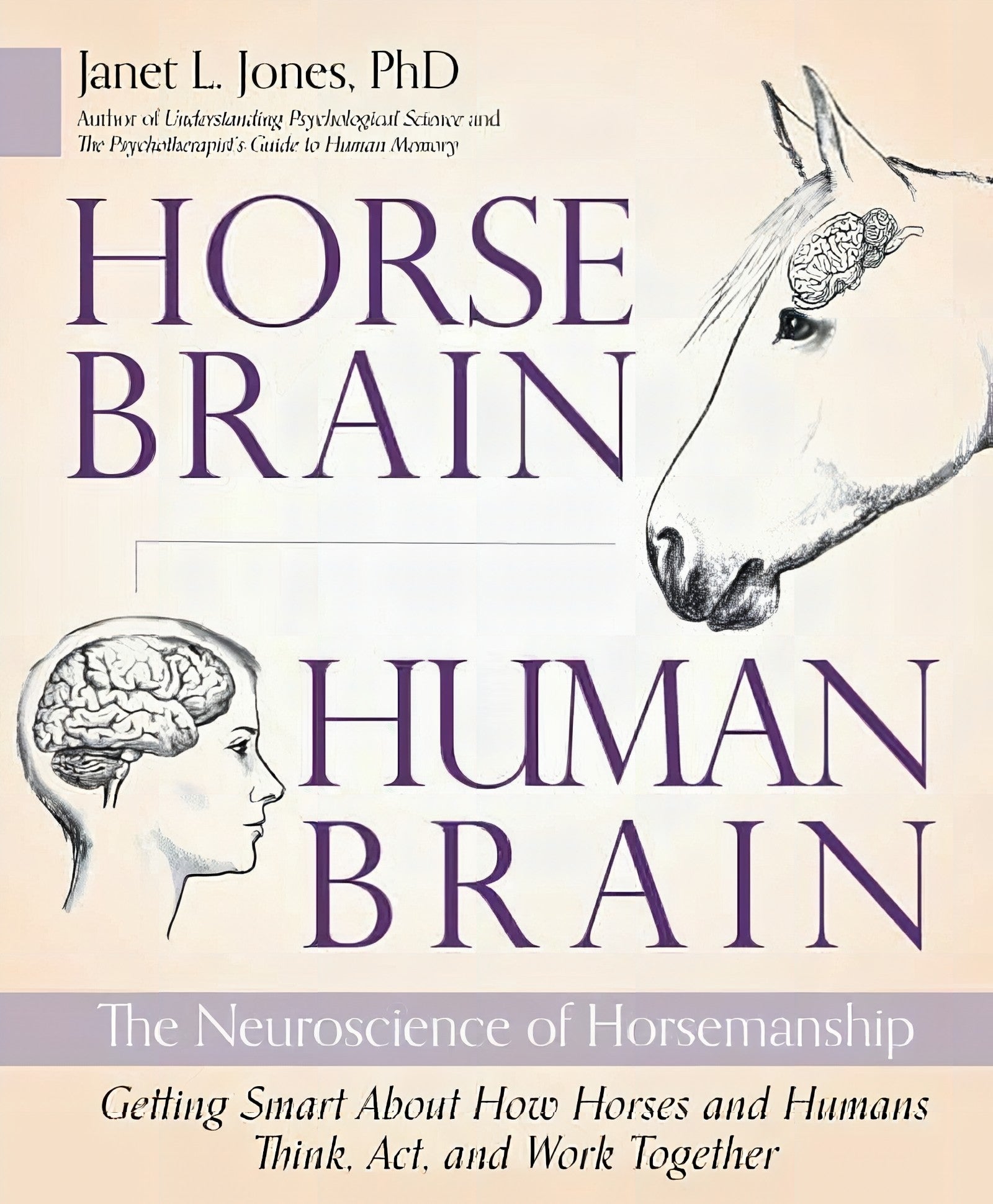 Horses Brain Human Brain