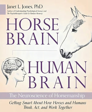 Horses Brain Human Brain