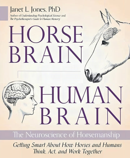 Horses Brain Human Brain