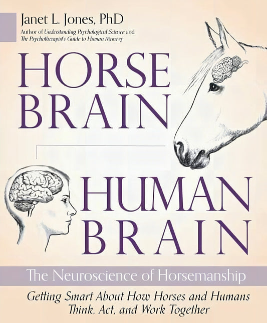Horses Brain Human Brain