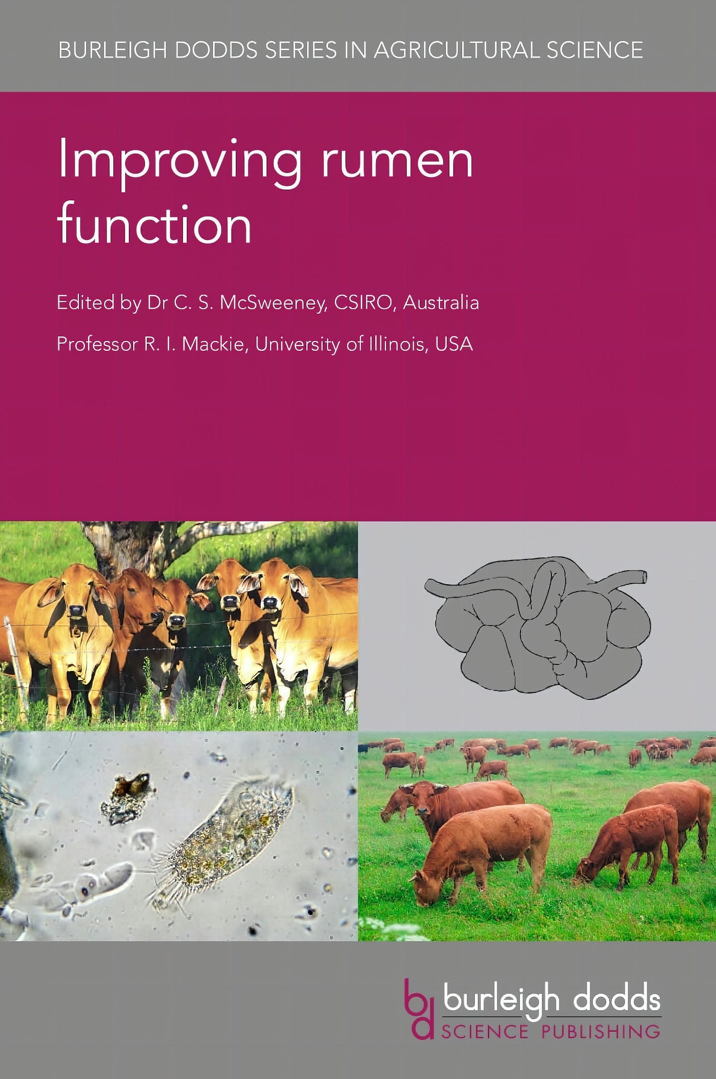 Improving Rumens Function