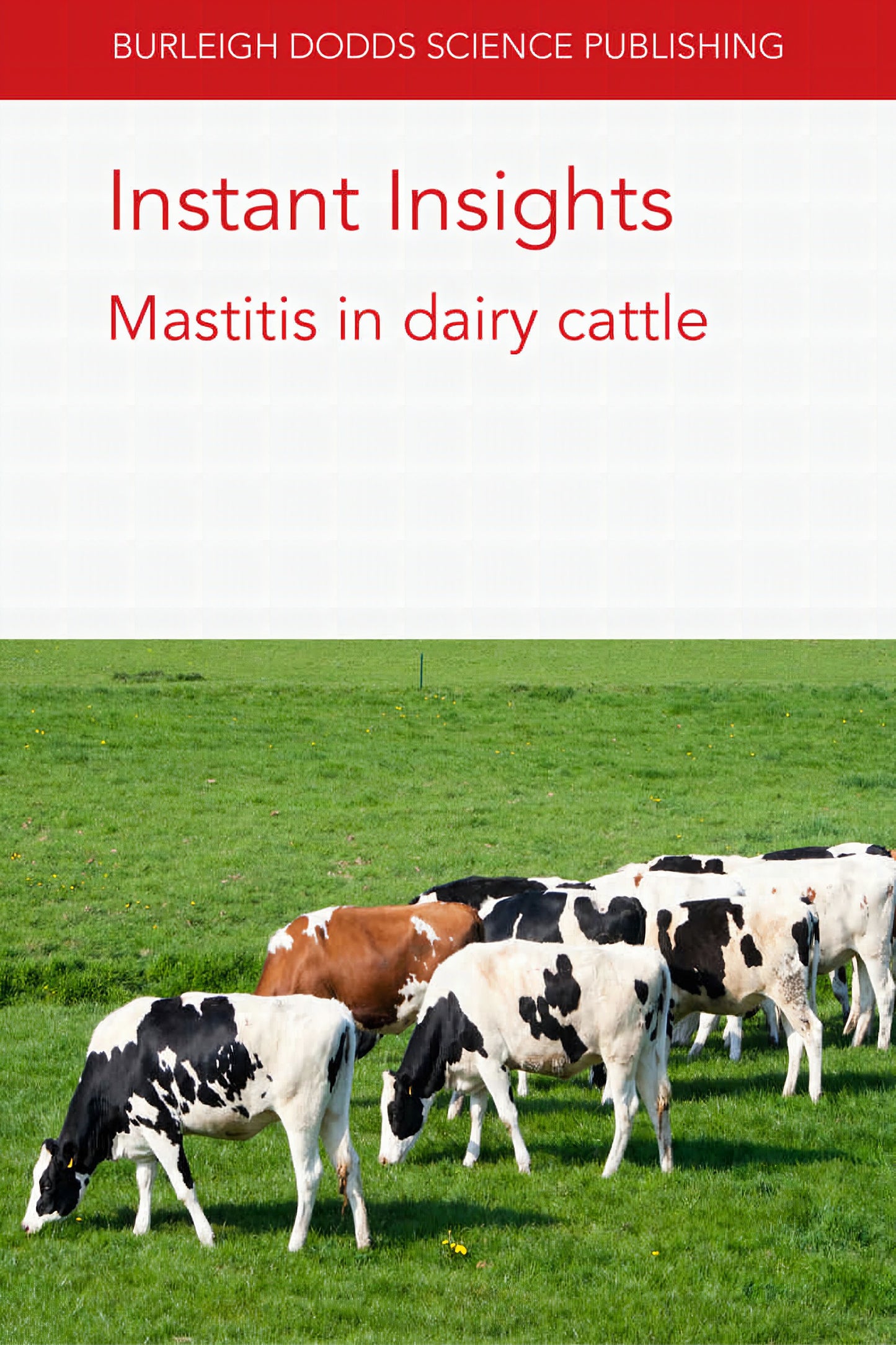 Instant Insights Mastitis In Dairy Cattle