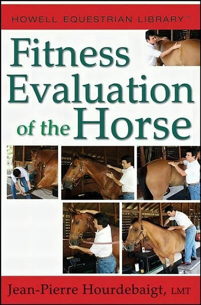 Jean Fitness Evaluation Of The Horses