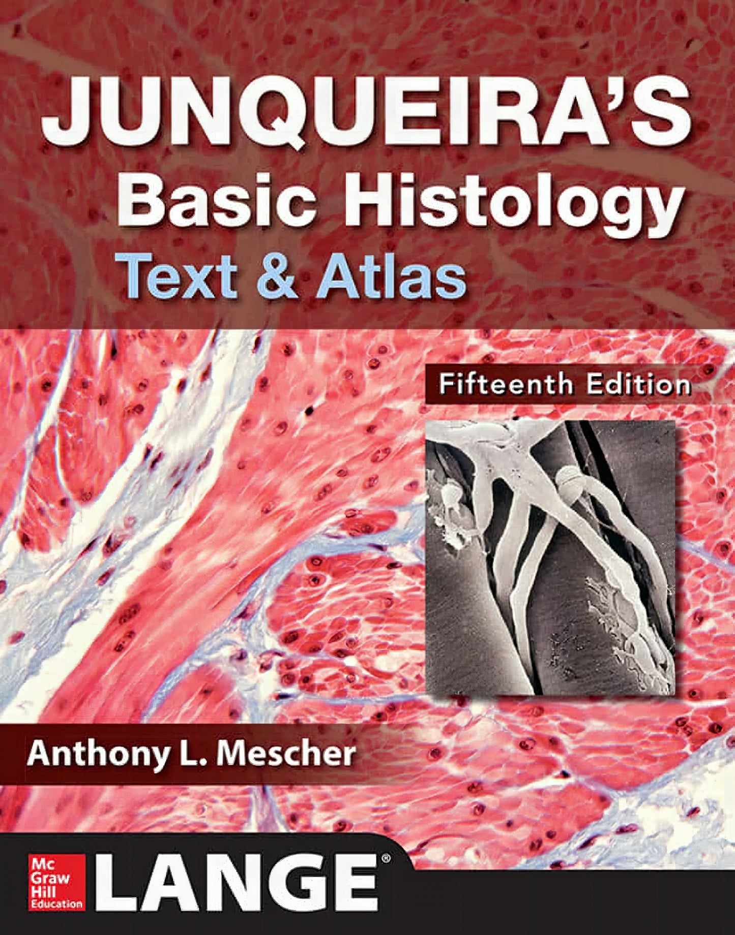 Junqueira Basic Histology Text And Atlas 5Th Edition