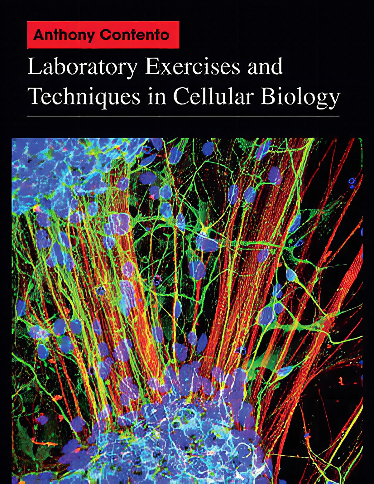 Laboratory Exercises And Techniques In Cellular Biology
