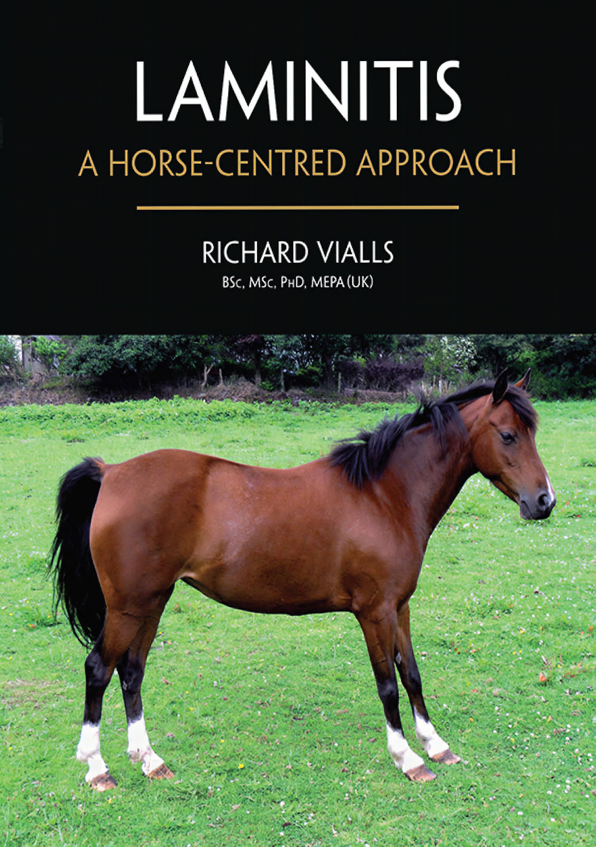 Laminitis A Horse Centred Approach
