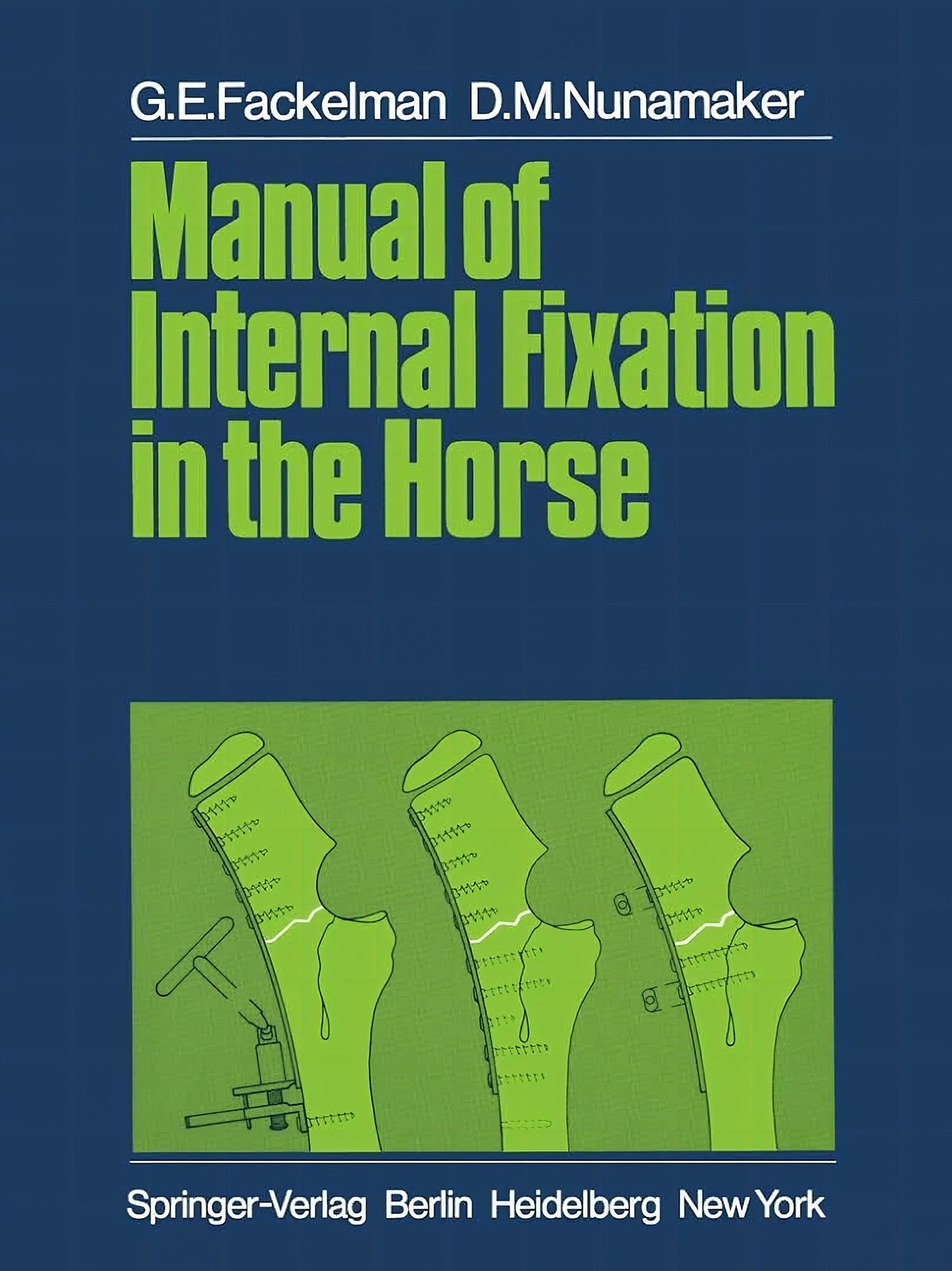 Manual Of Internal Fixation In The Horses