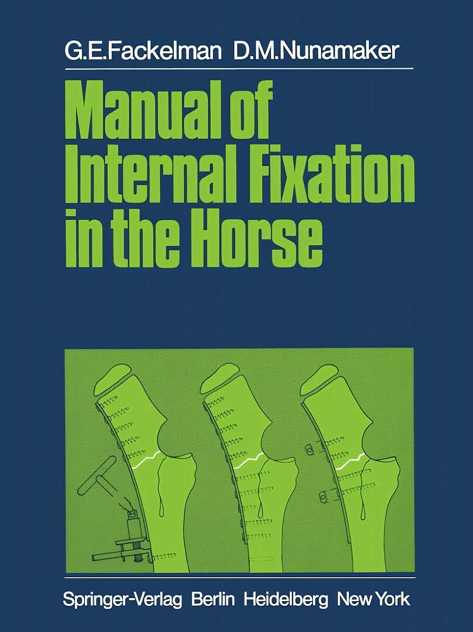 Manual Of Internal Fixation In The Horses