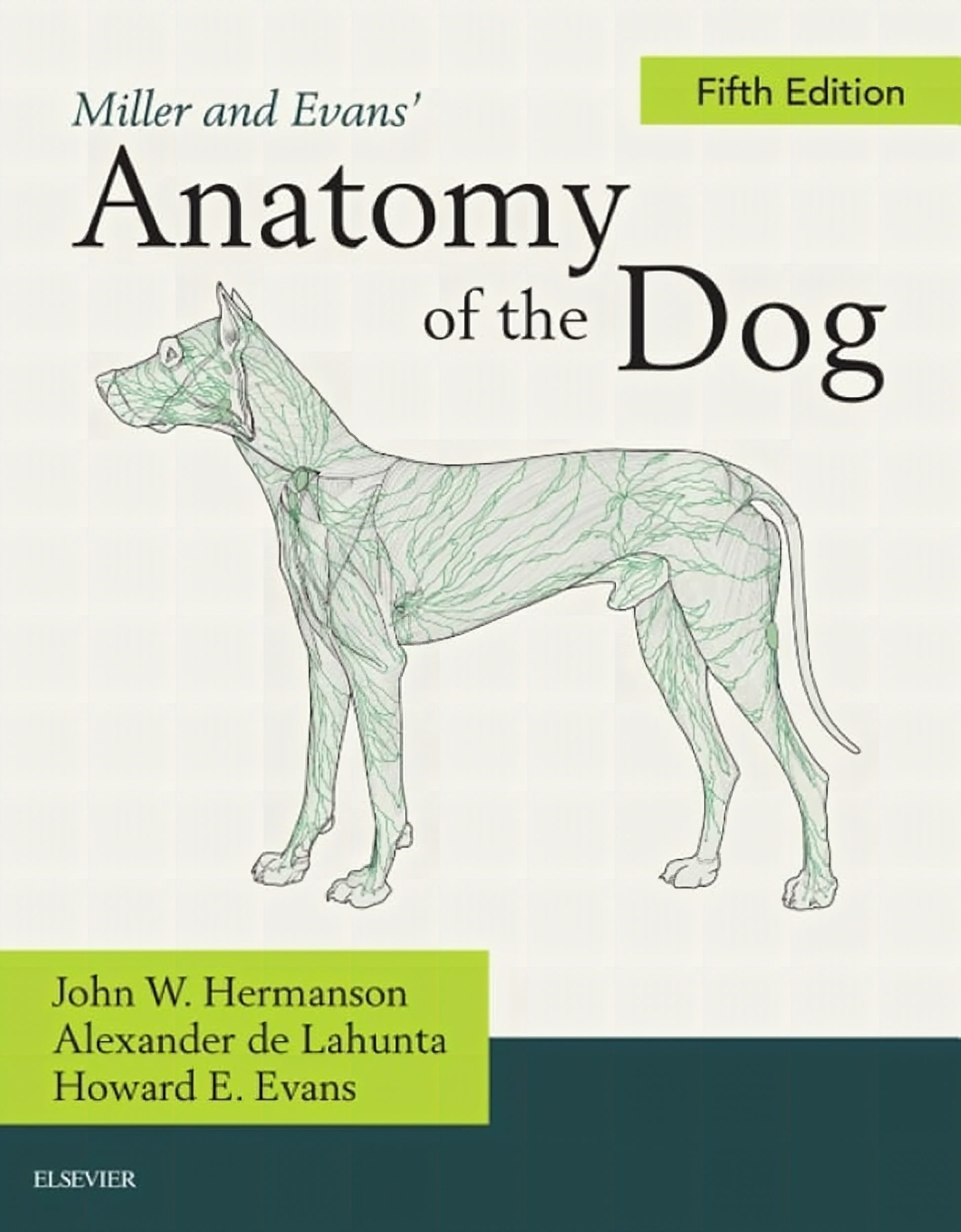 Miller Anatomy Of The Dog 5Th Edition
