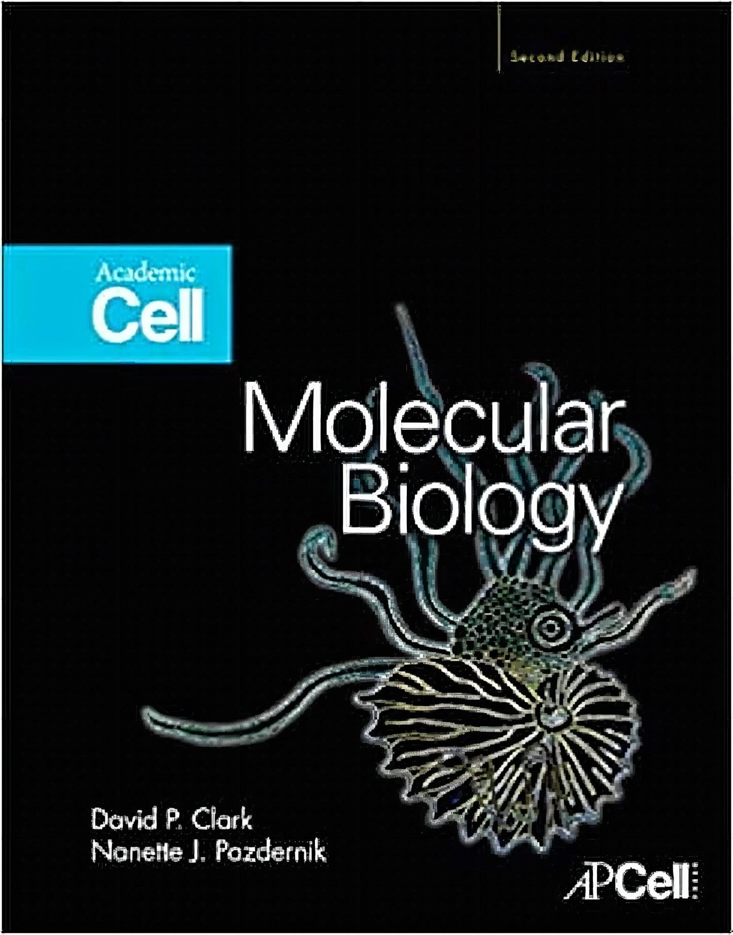 Molecular Biology 2nd Edition David P Clark