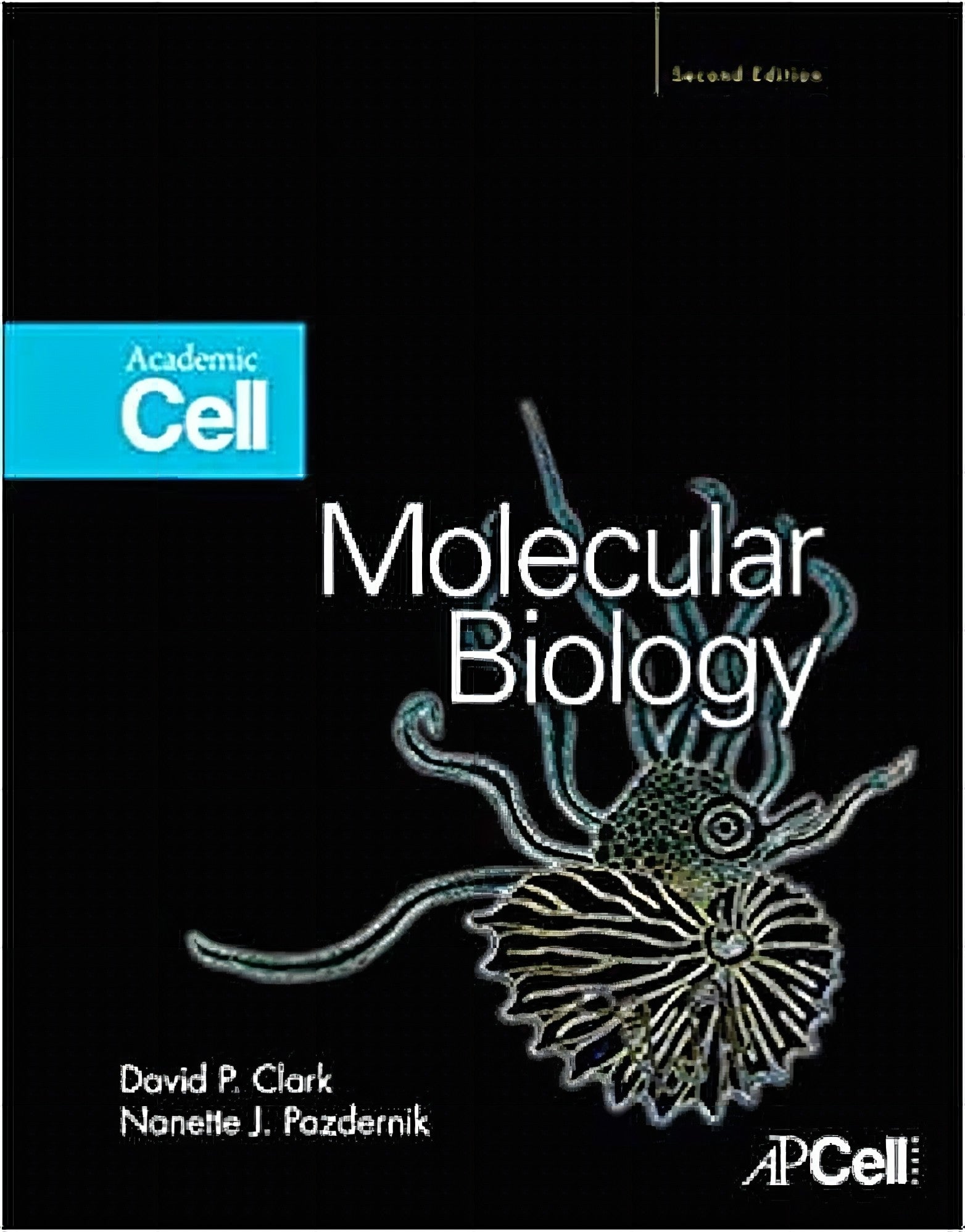 Molecular Biology 2nd Edition David P Clark