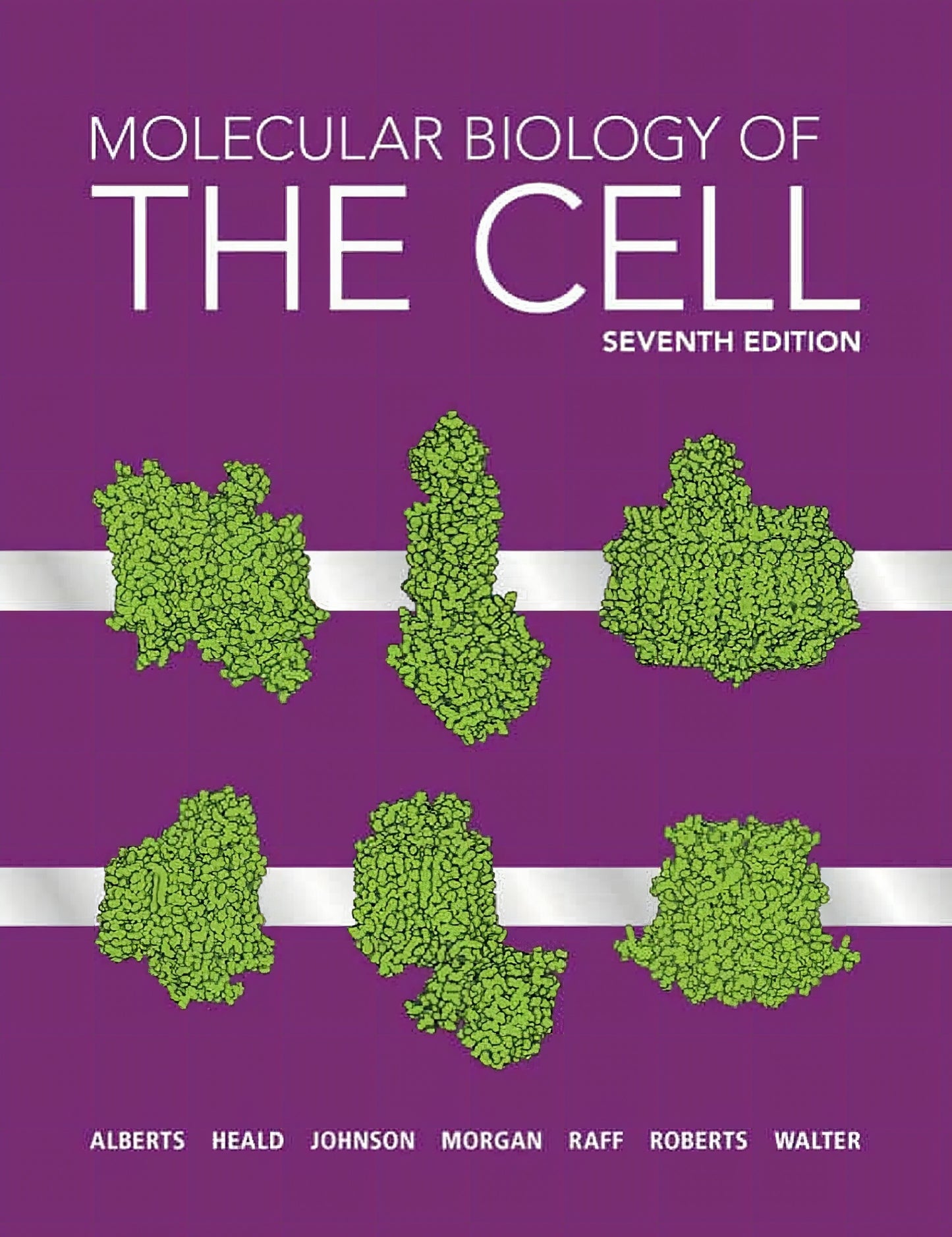 Molecular Biology Of The Cell 7Th Edition Alberts