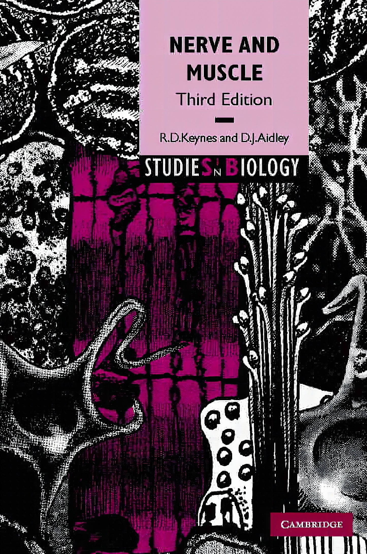 Nerve And Muscle 3rd Edition Free