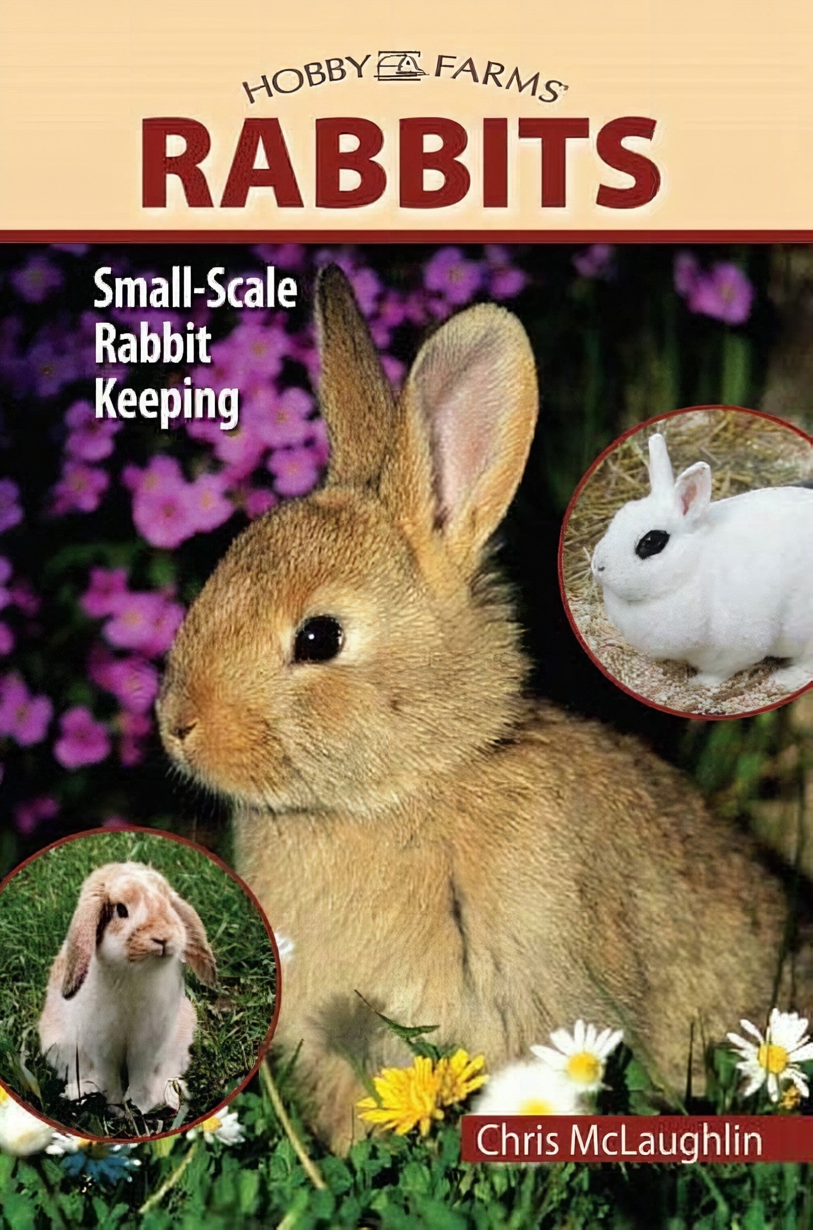 Rabbits Small Scale Rabbit Keeping