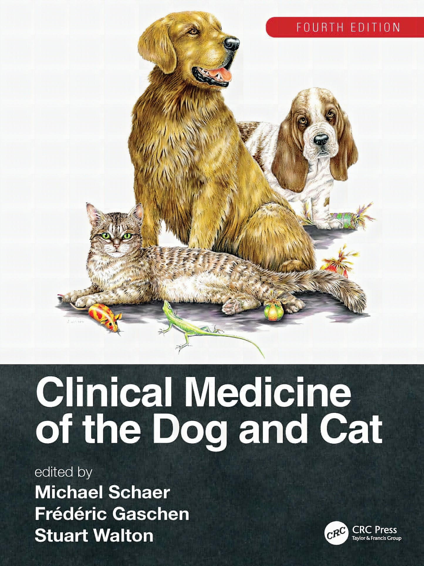 Schaer Clinical Medicine Dog And Cat Fourth Edition