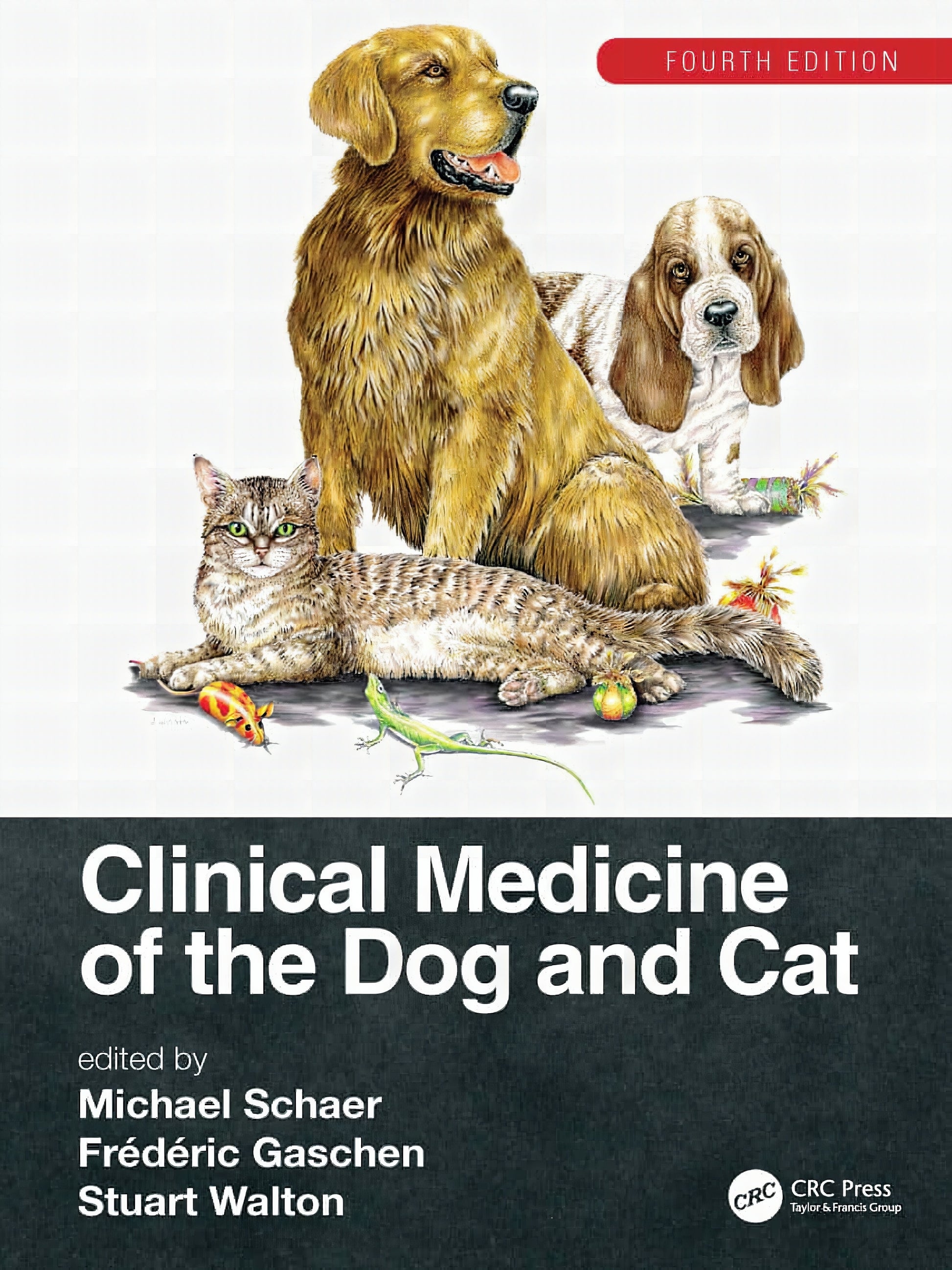 Schaer Clinical Medicine Dog And Cat Fourth Edition