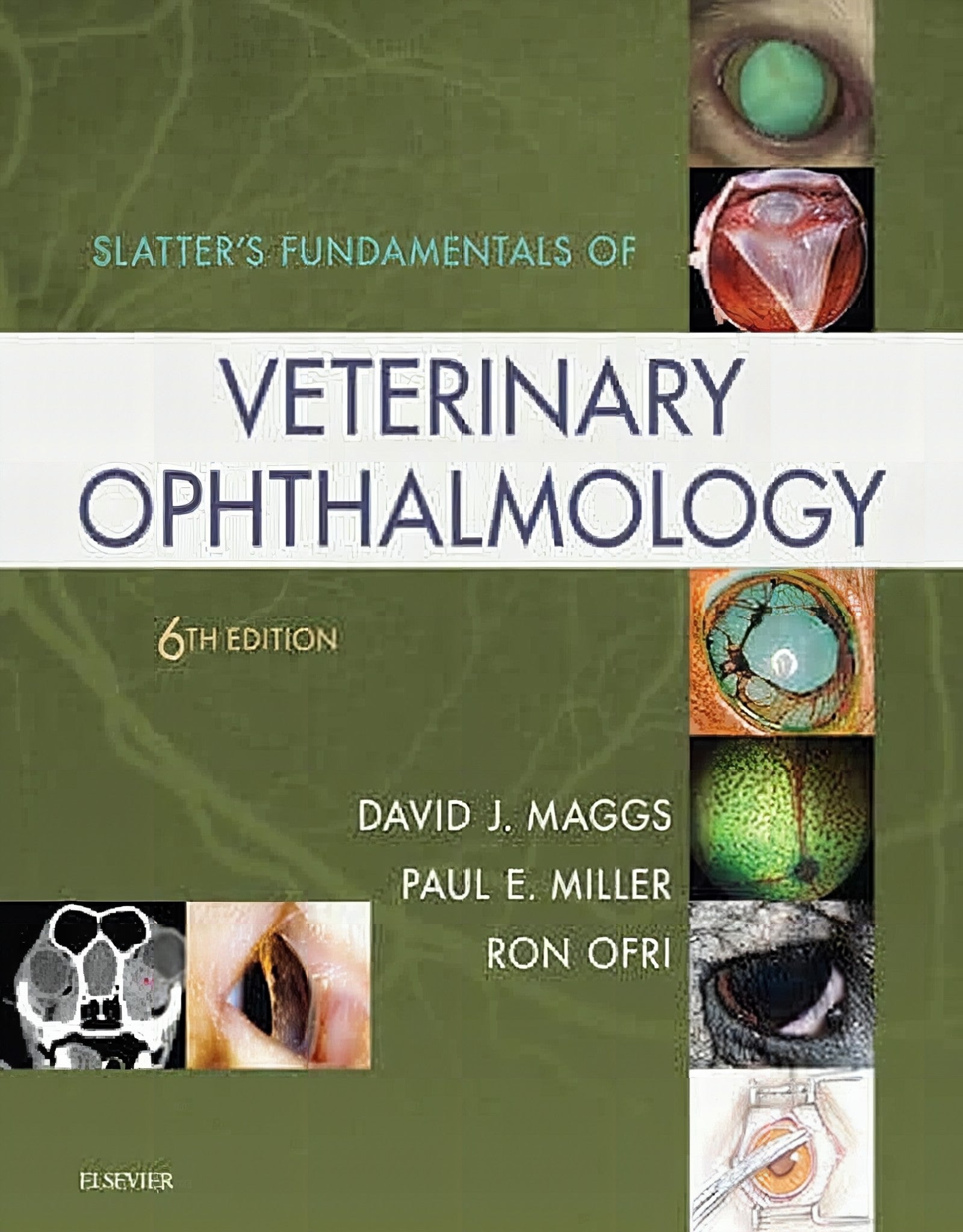 Slatters Fundamentals Of Veterinary Ophthalmology Sixth Edition