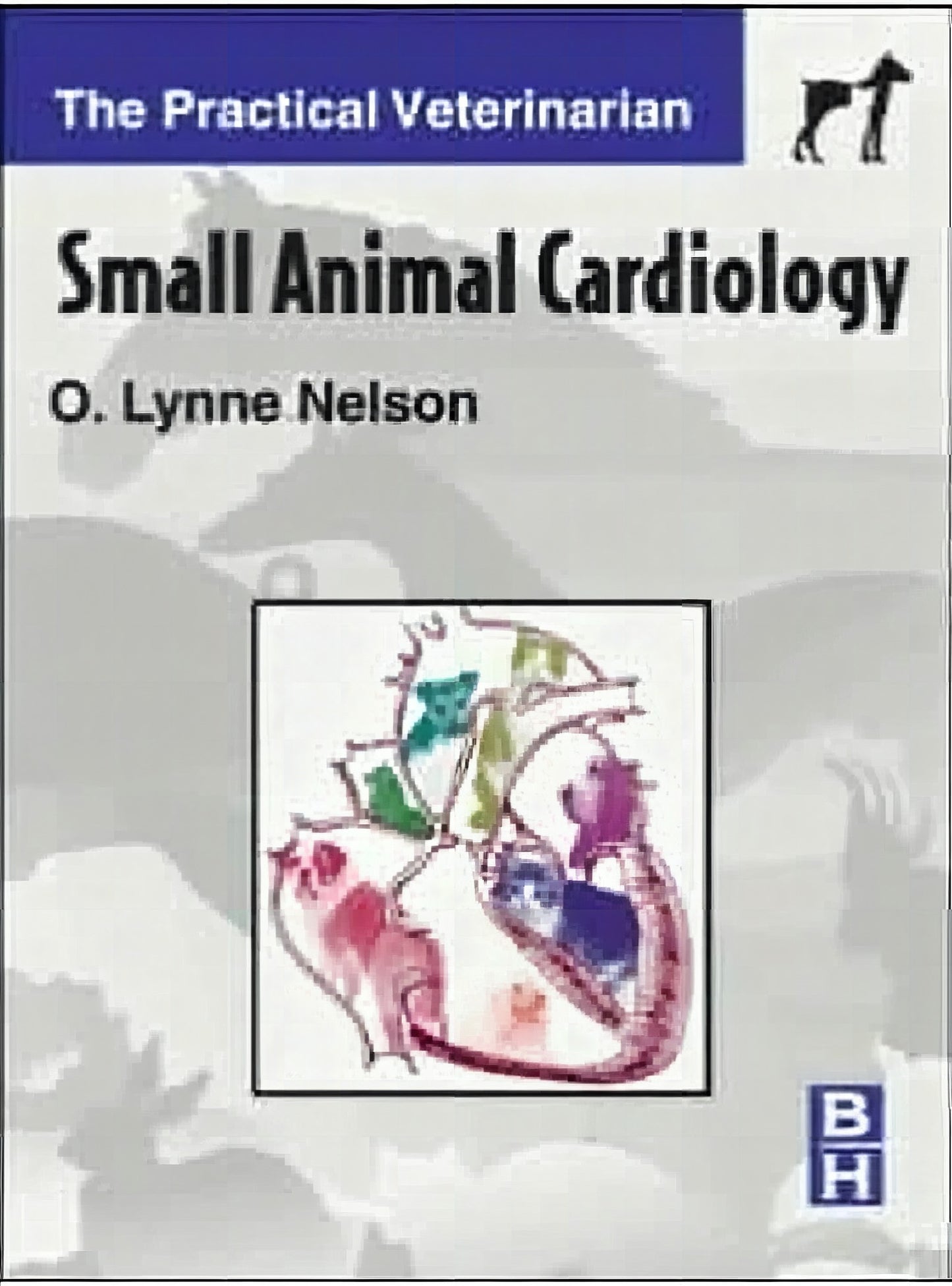Small Animal Cardiology The Practical Veterinarian