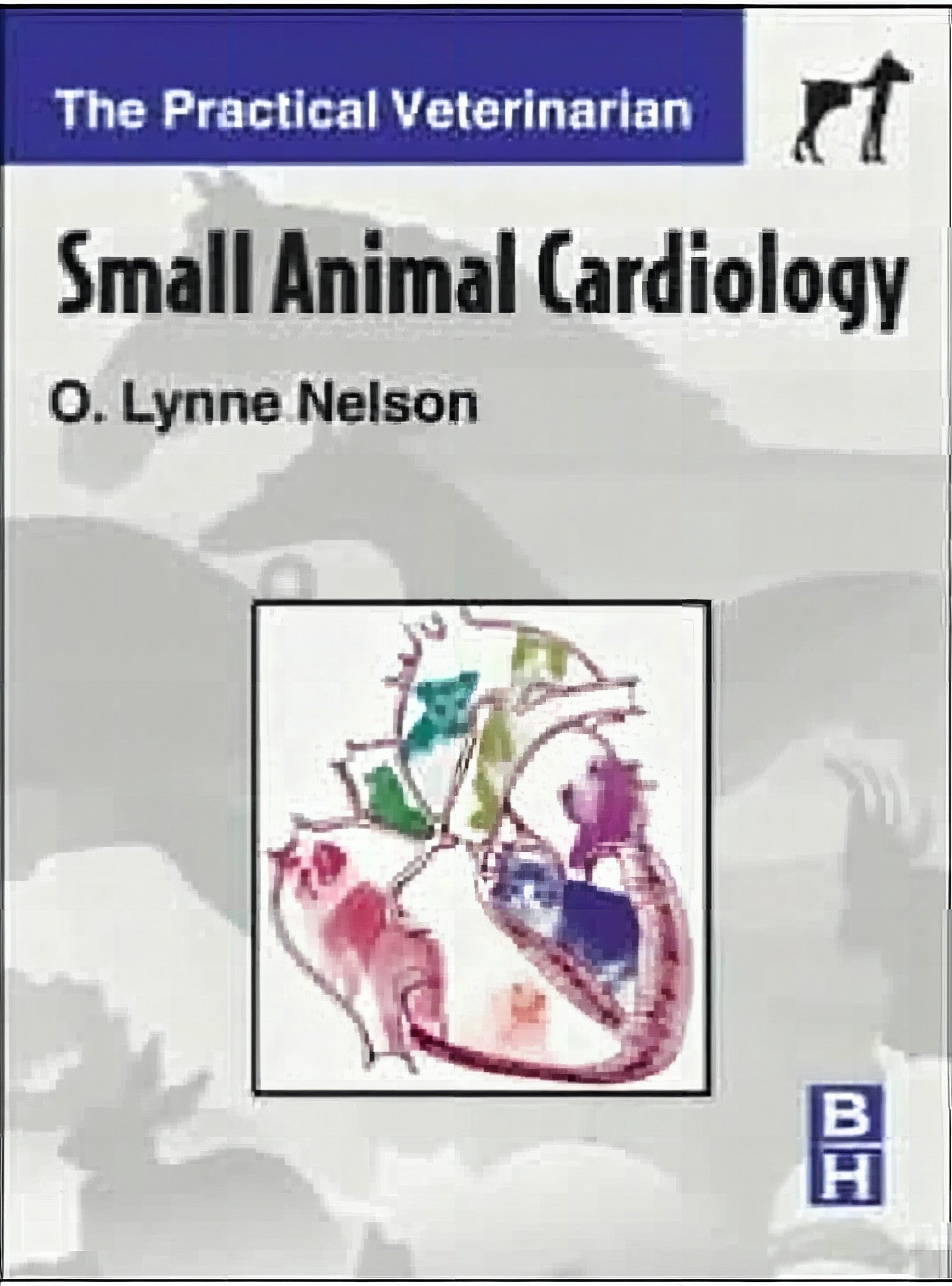 Small Animal Cardiology The Practical Veterinarian