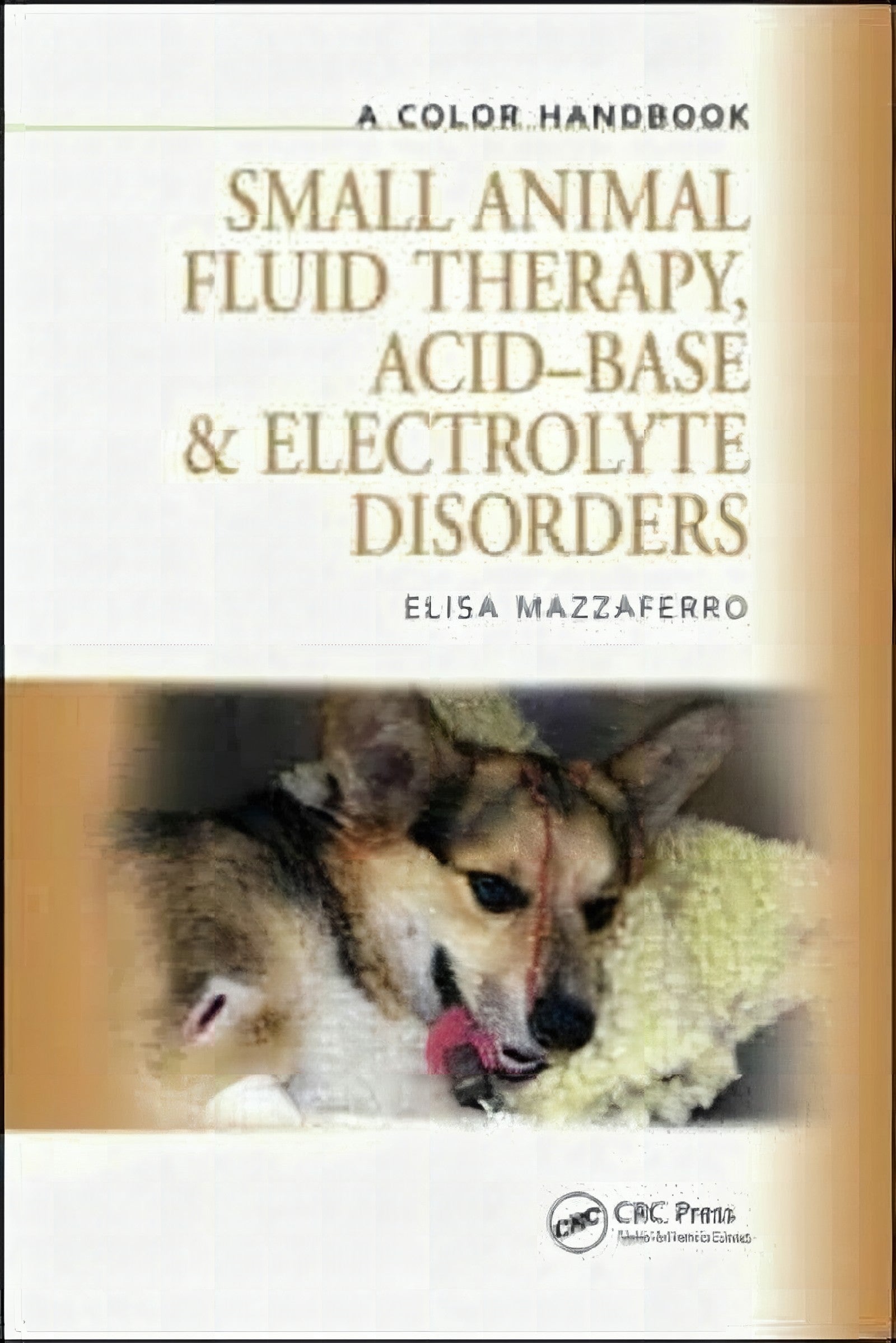 Small Animal Fluid Therapy Acid Base And Electrolyte Disorders A Color Handbook