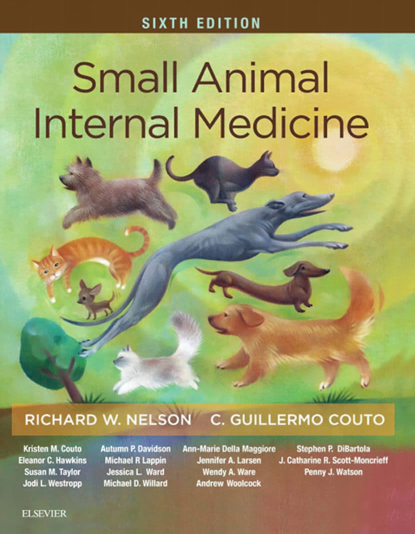 Small Animal Internal Medicine Sixth Edition