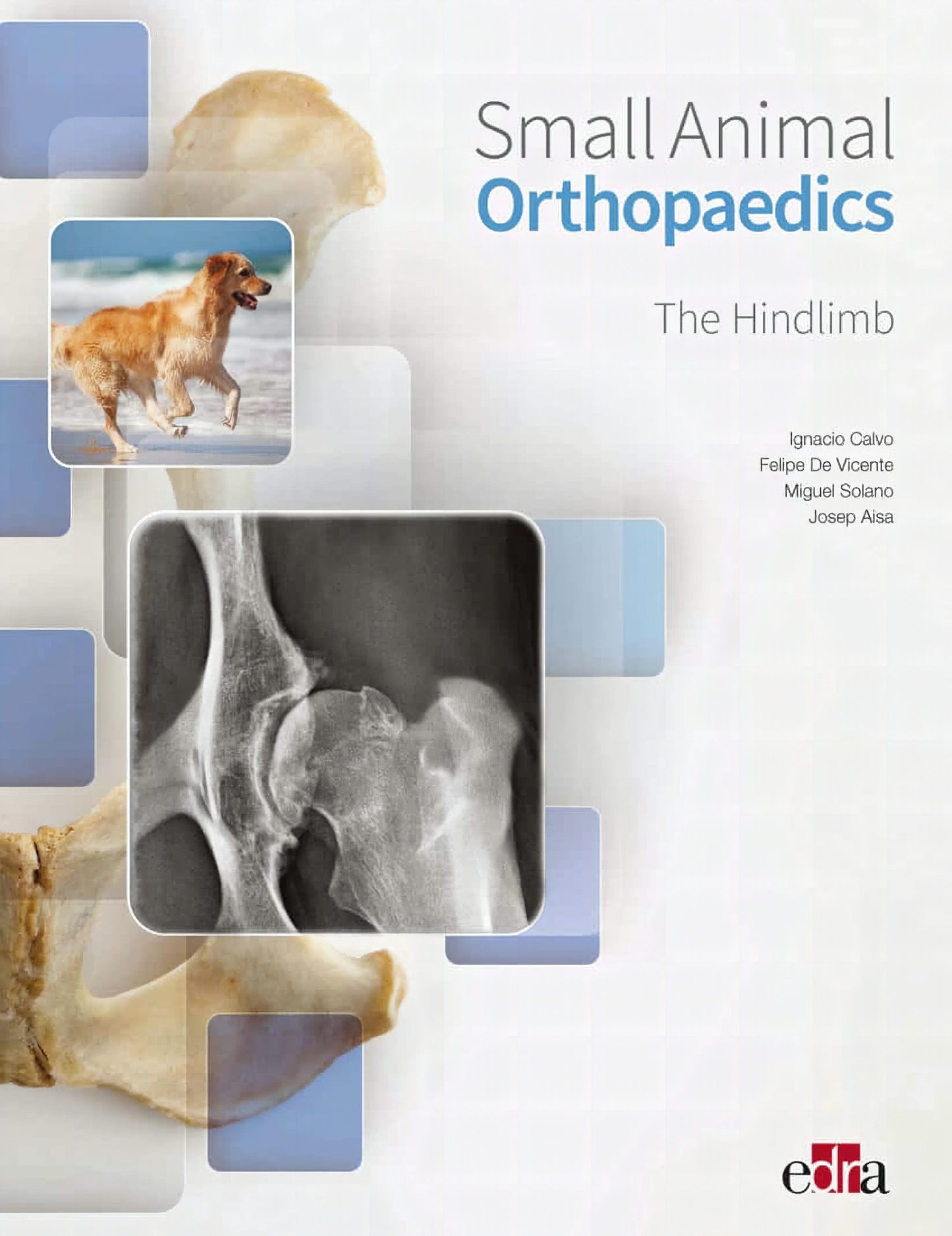 Small Animal Orthopaedics Hindlimb