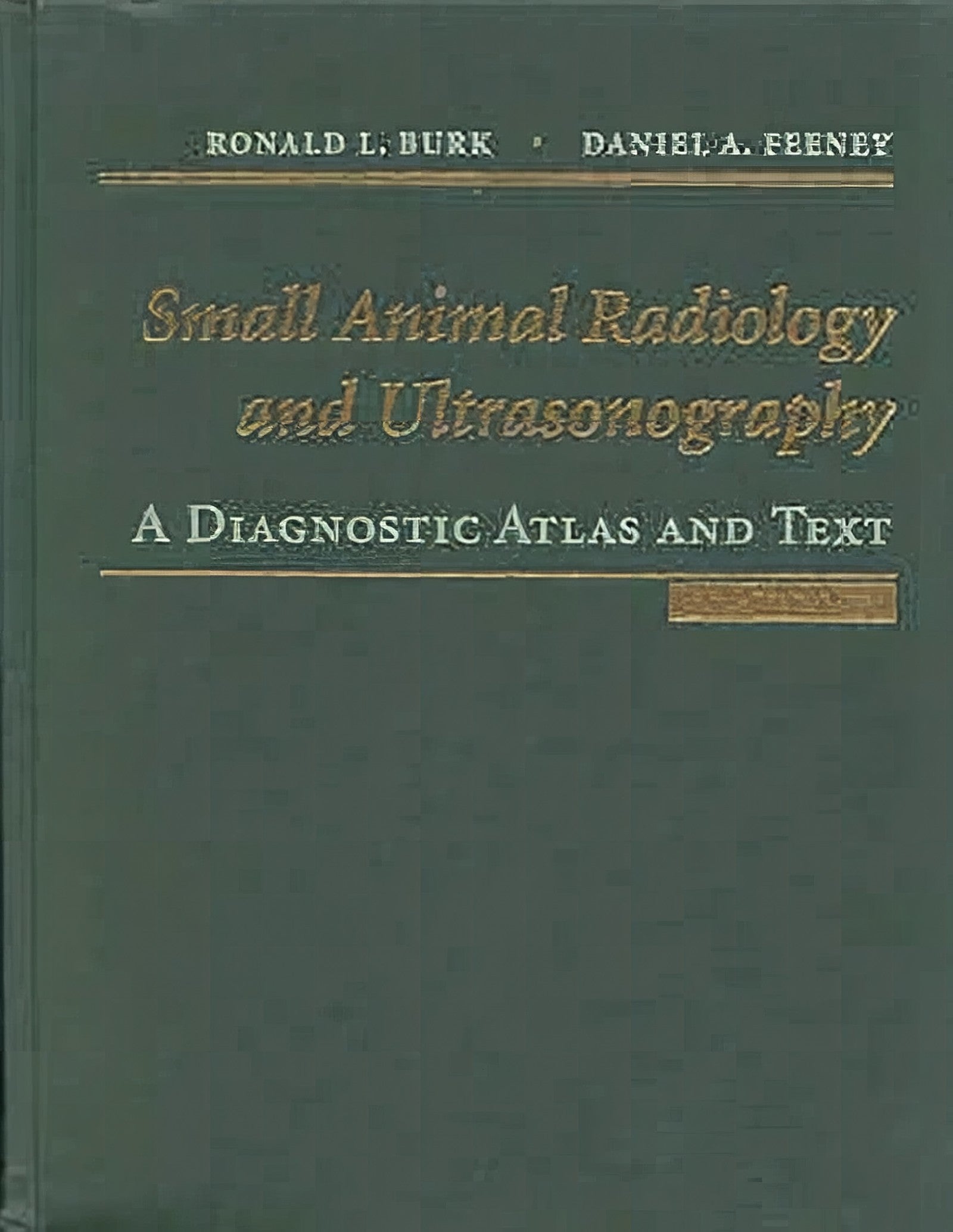 Small Animal Radiology And Ultrasonography 3rd Edition