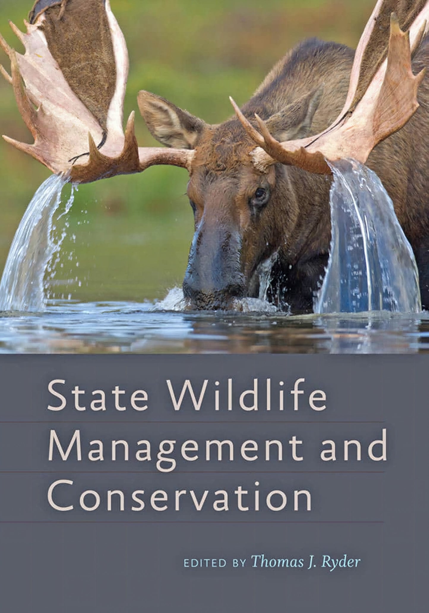 State Wildlifes Managements And Conservation