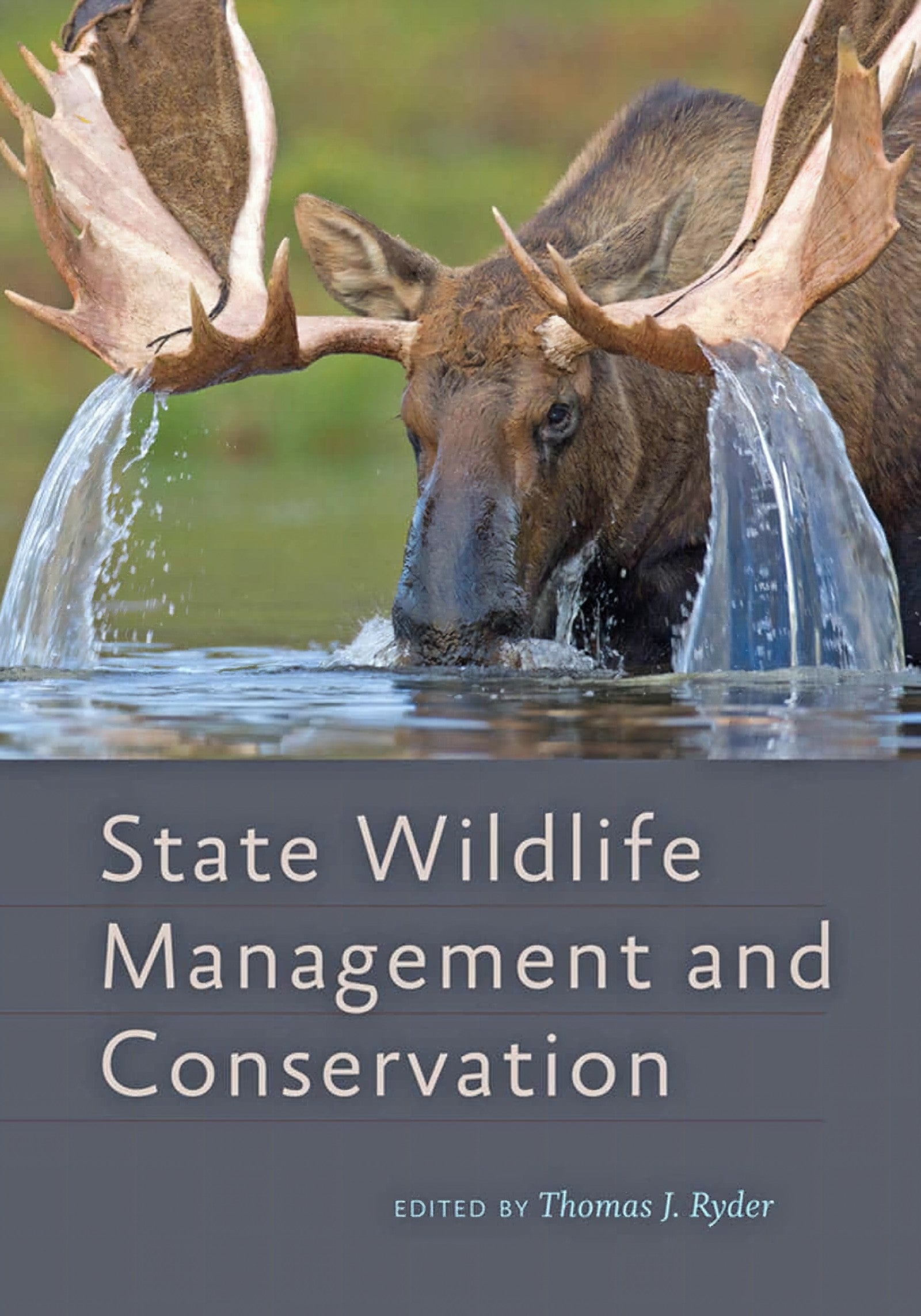State Wildlifes Managements And Conservation
