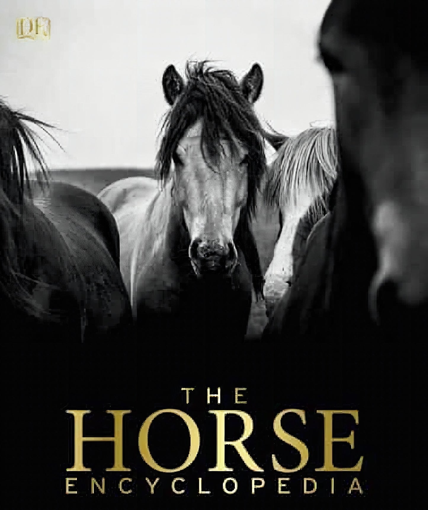 The Horse Eccyclopedia
