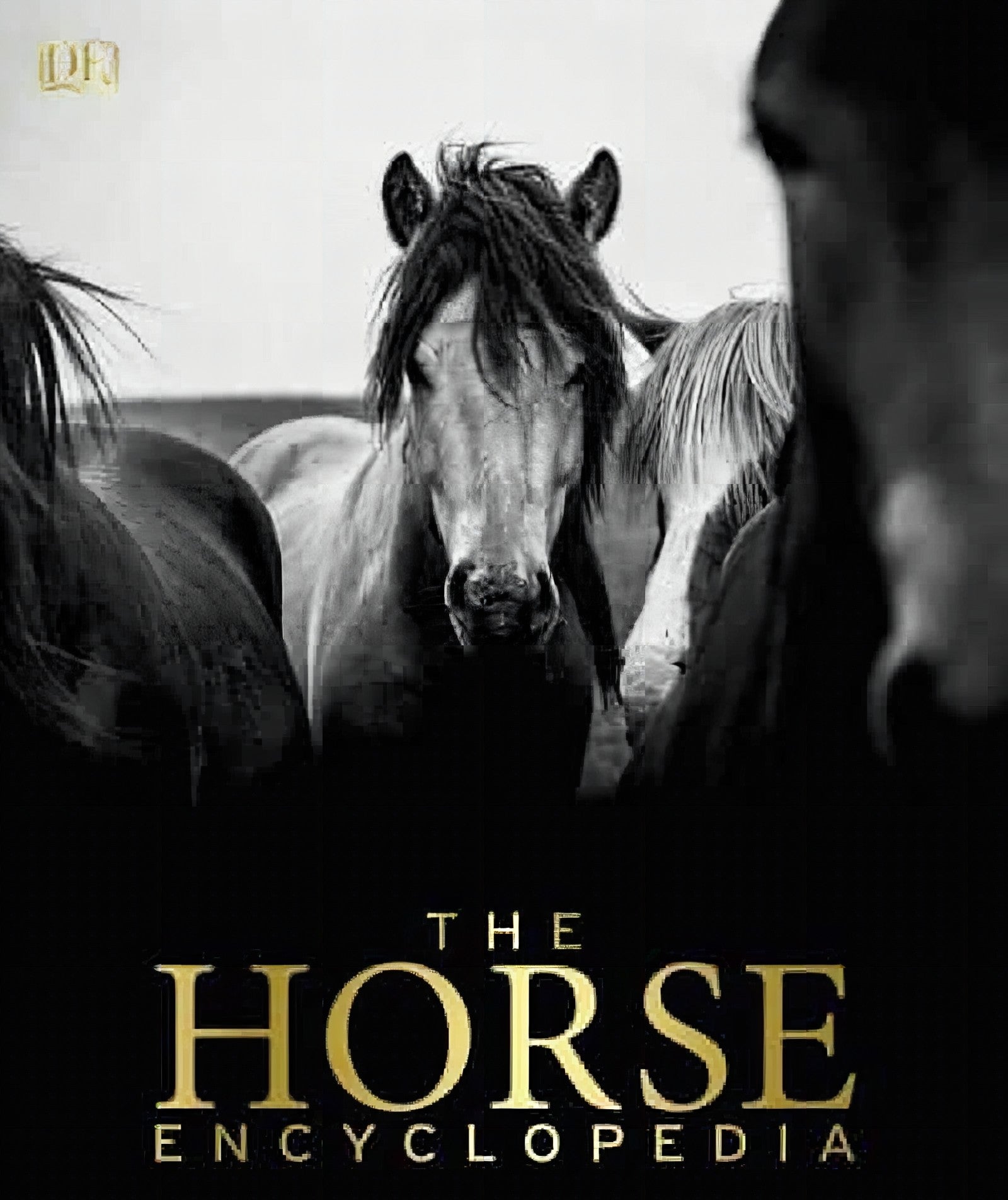 The Horse Eccyclopedia