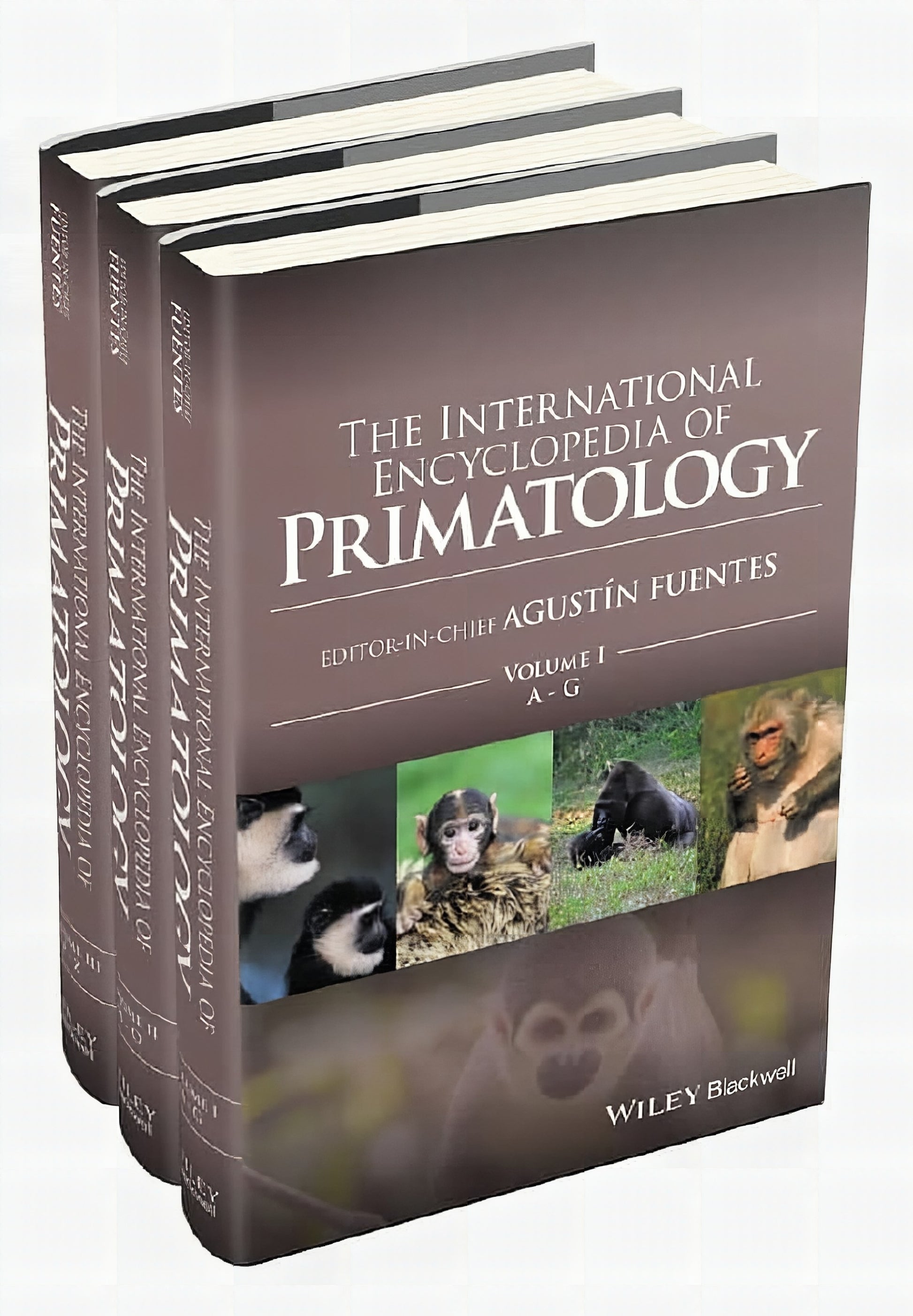 The International Encyclopedia Of Primatology 3 Volume Set