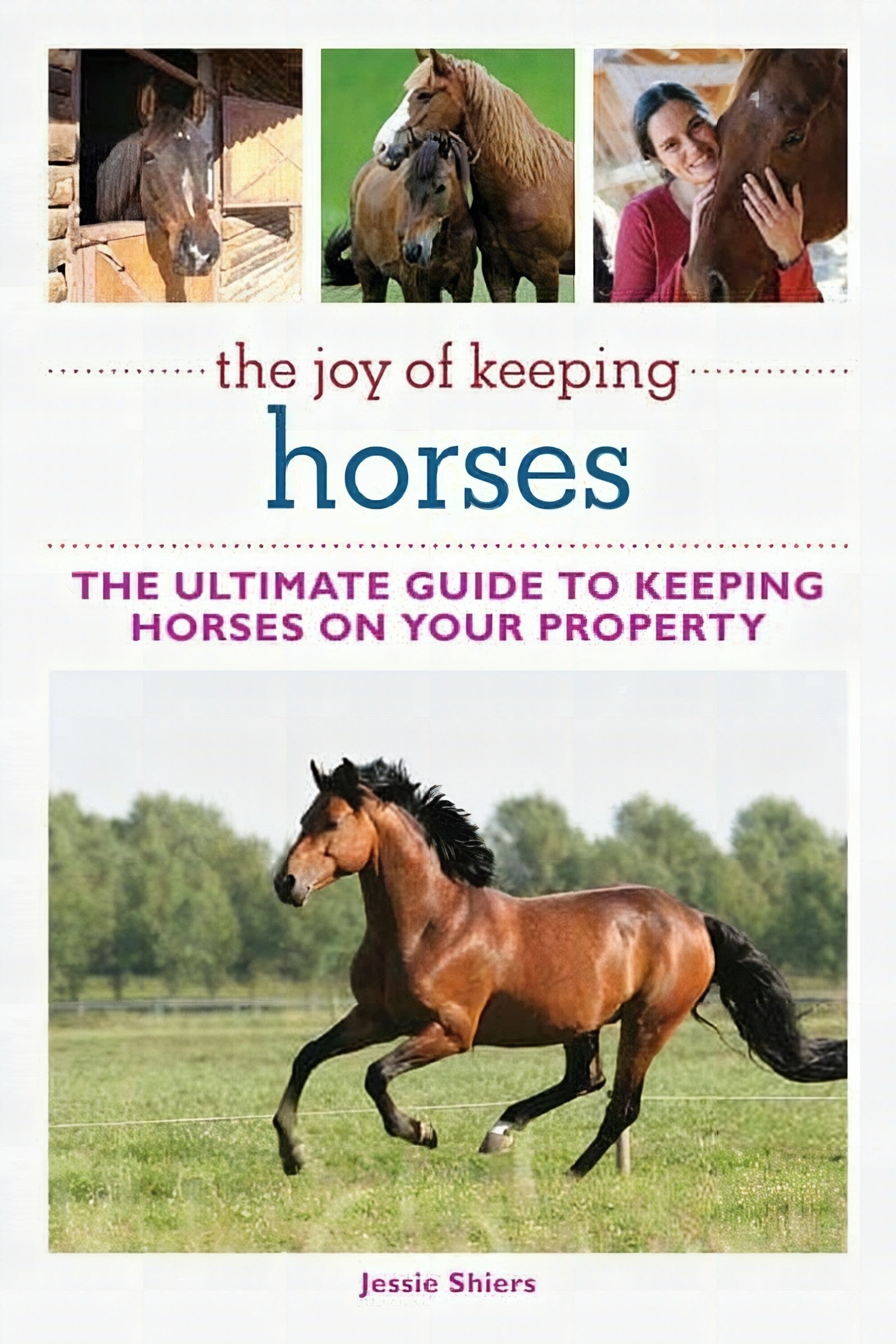 The Joy Of Keeping Horses The Ultimate Guides To Keeping Horses On Your Property