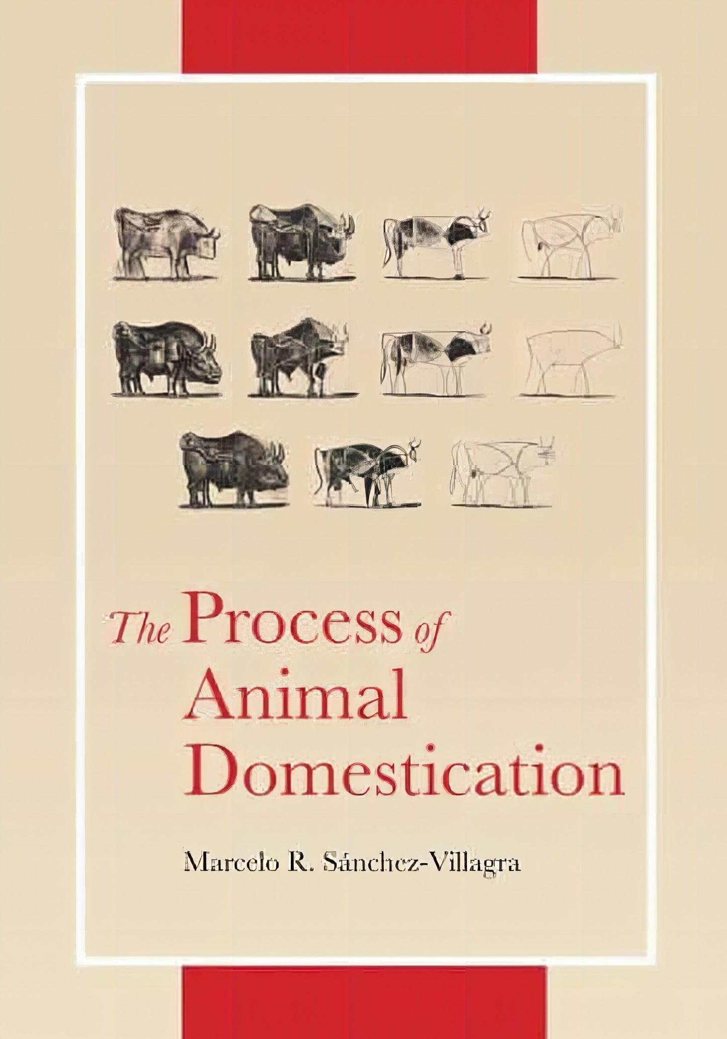 The Process Of Animals Domestication