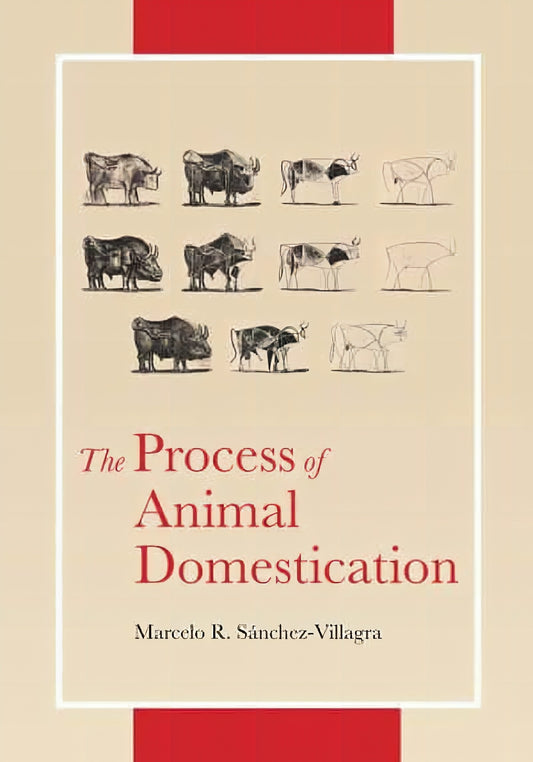 The Process Of Animals Domestication