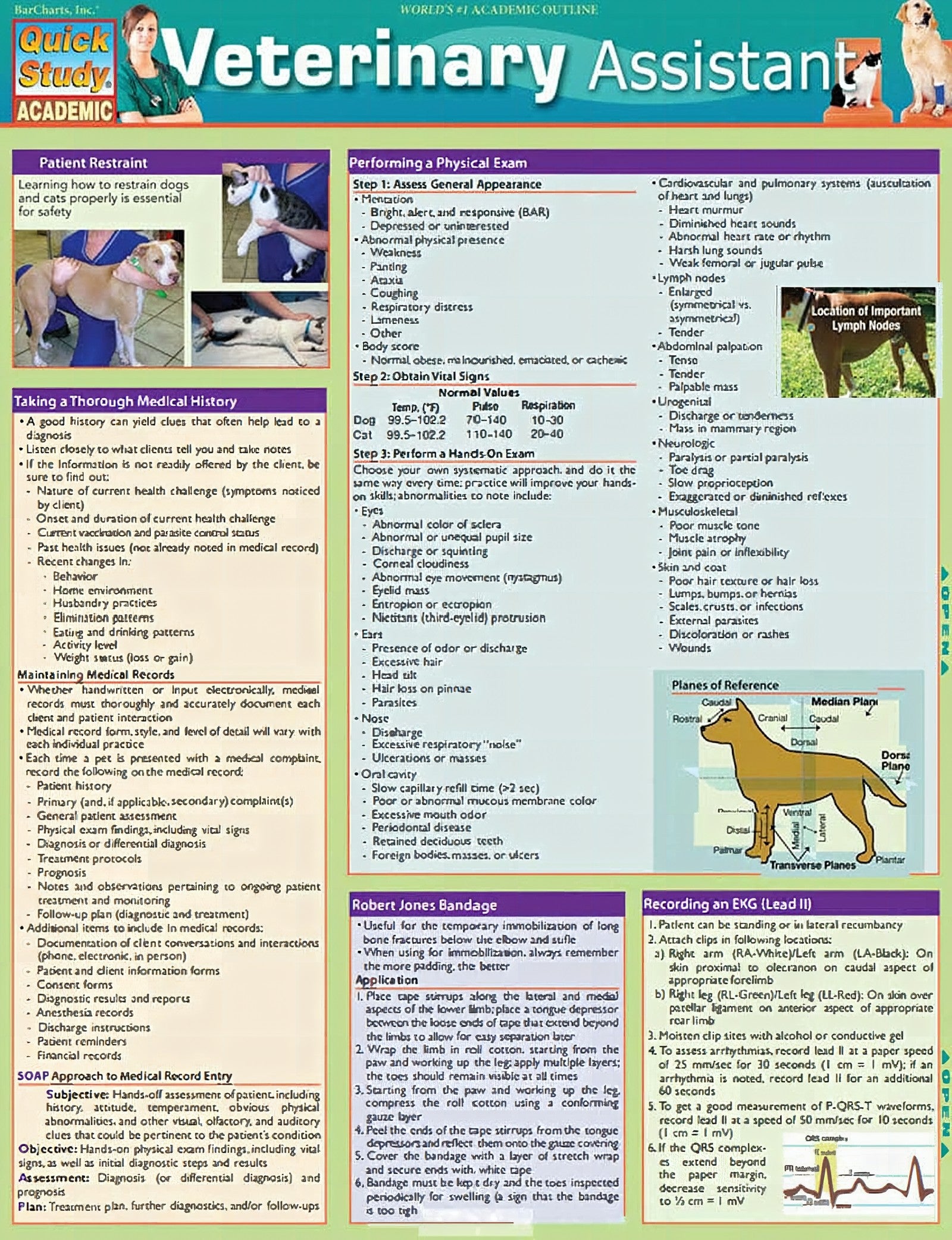 Veterinary Assistant Chris Pinney